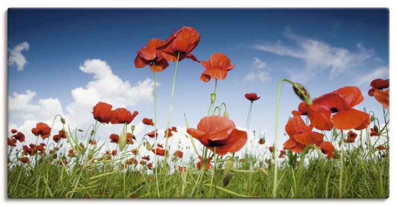 Artland Wandbild »Feld mit Mohnblumen unter Himmel«, Blumenwiese, (1 St.), als Leinwandbild, Wandaufkleber in verschied. Grössen von Artland