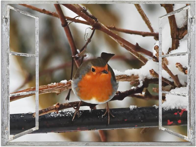 Artland Wandbild »Fensterbild - Rotkehlchen«, Vögel, (1 St.), als Poster, Wandaufkleber in verschied. Grössen von Artland