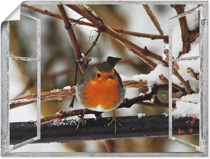 Artland Wandbild »Fensterbild - Rotkehlchen«, Vögel, (1 St.), als Poster, Wandaufkleber in verschied. Grössen von Artland