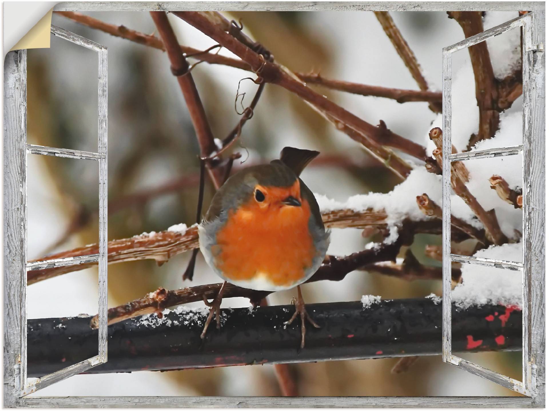 Artland Wandbild »Fensterbild - Rotkehlchen«, Vögel, (1 St.), als Poster, Wandaufkleber in verschied. Grössen von Artland