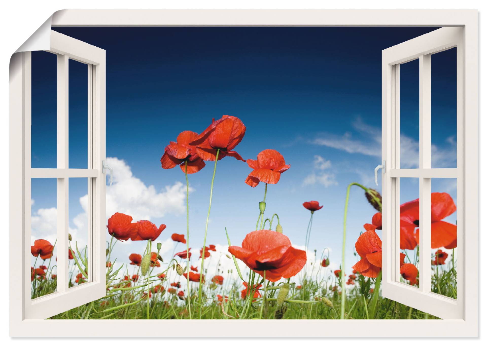 Artland Wandbild »Fensterblick Feld mit Mohnblumen«, Fensterblick, (1 St.), als Leinwandbild, Poster, Wandaufkleber in verschied. Grössen von Artland