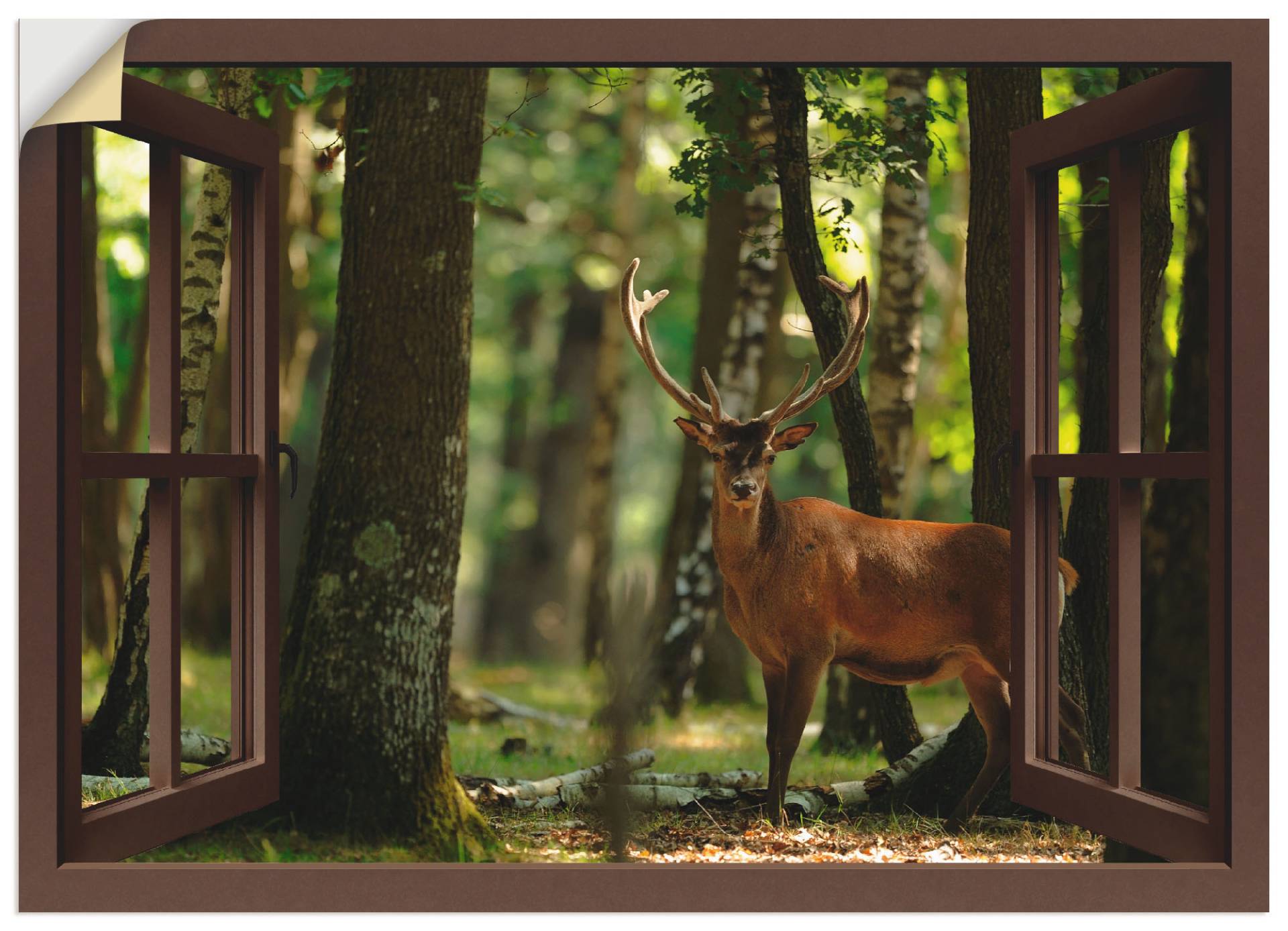 Artland Wandbild »Fensterblick - Hirsch 4 - Wald«, Fensterblick, (1 St.), als Leinwandbild, Wandaufkleber in verschied. Grössen von Artland