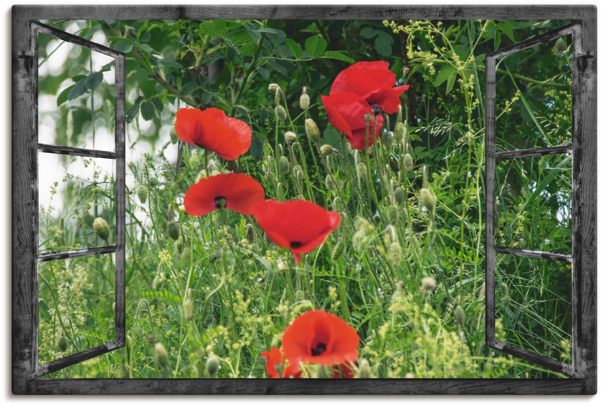 Artland Wandbild »Fensterblick - Klatschmohn«, Fensterblick, (1 St.), als Alubild, Outdoorbild, Leinwandbild in verschied. Grössen von Artland