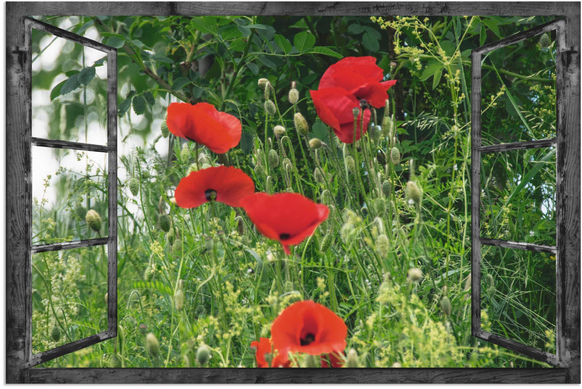 Artland Wandbild »Fensterblick - Klatschmohn«, Fensterblick, (1 St.), als Alubild, Outdoorbild, Leinwandbild in verschied. Grössen von Artland