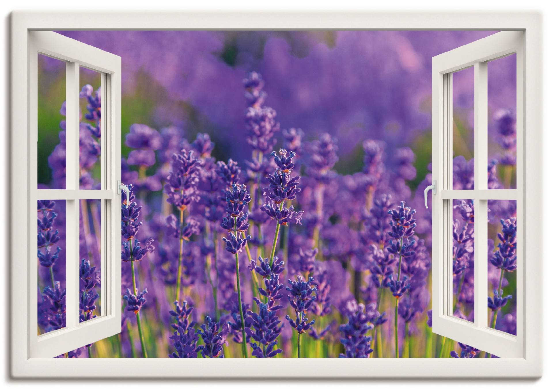 Artland Wandbild »Fensterblick Lavendelfeld in Tihany«, Blumenwiese, (1 St.), als Leinwandbild, Wandaufkleber in verschied. Grössen von Artland