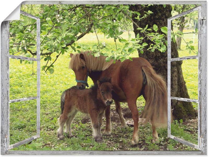 Artland Wandbild »Fensterblick - Pony mit Kind«, Haustiere, (1 St.), als Leinwandbild, Poster, Wandaufkleber in verschied. Grössen von Artland