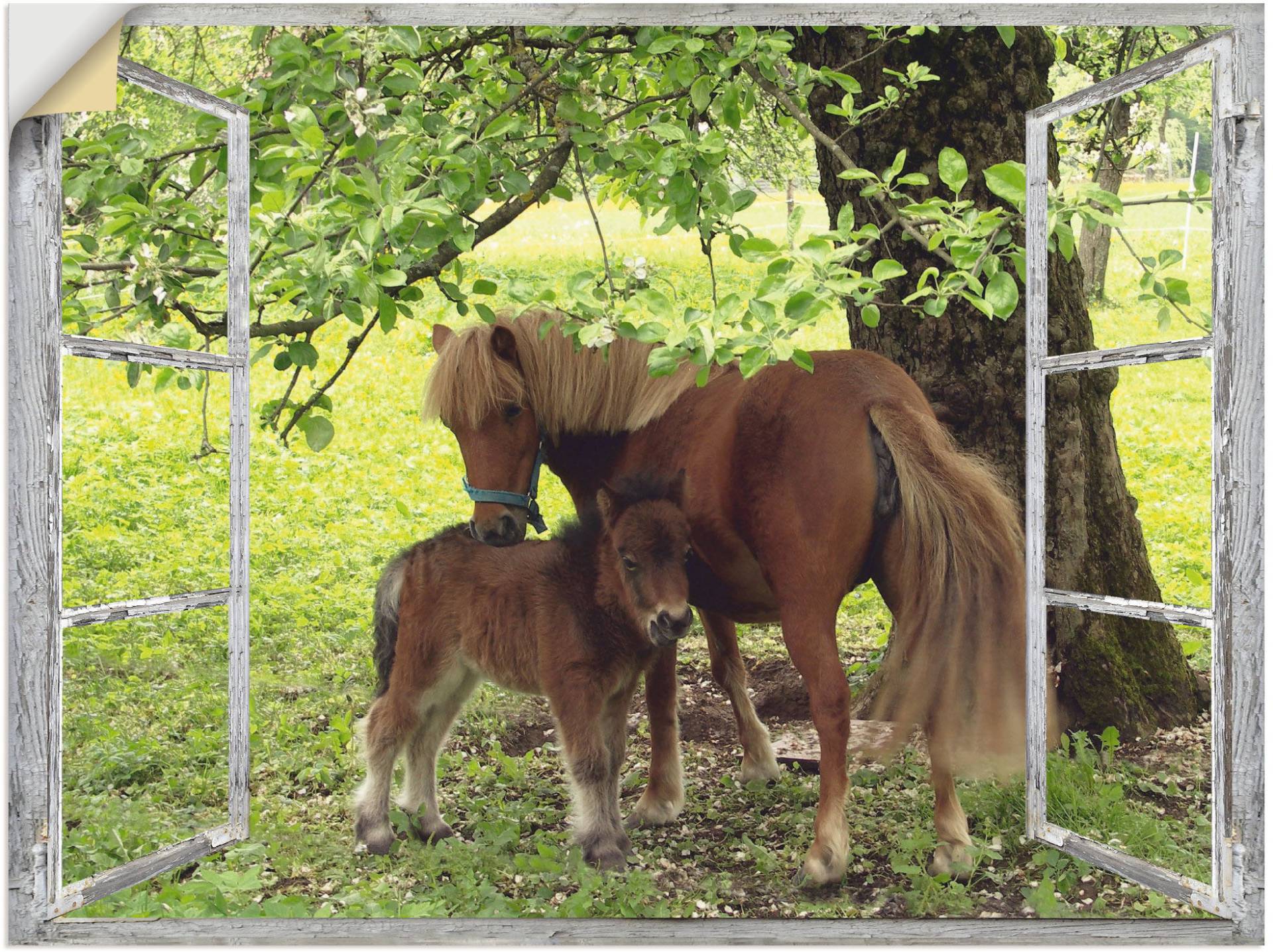 Artland Wandbild »Fensterblick - Pony mit Kind«, Haustiere, (1 St.), als Leinwandbild, Poster, Wandaufkleber in verschied. Grössen von Artland