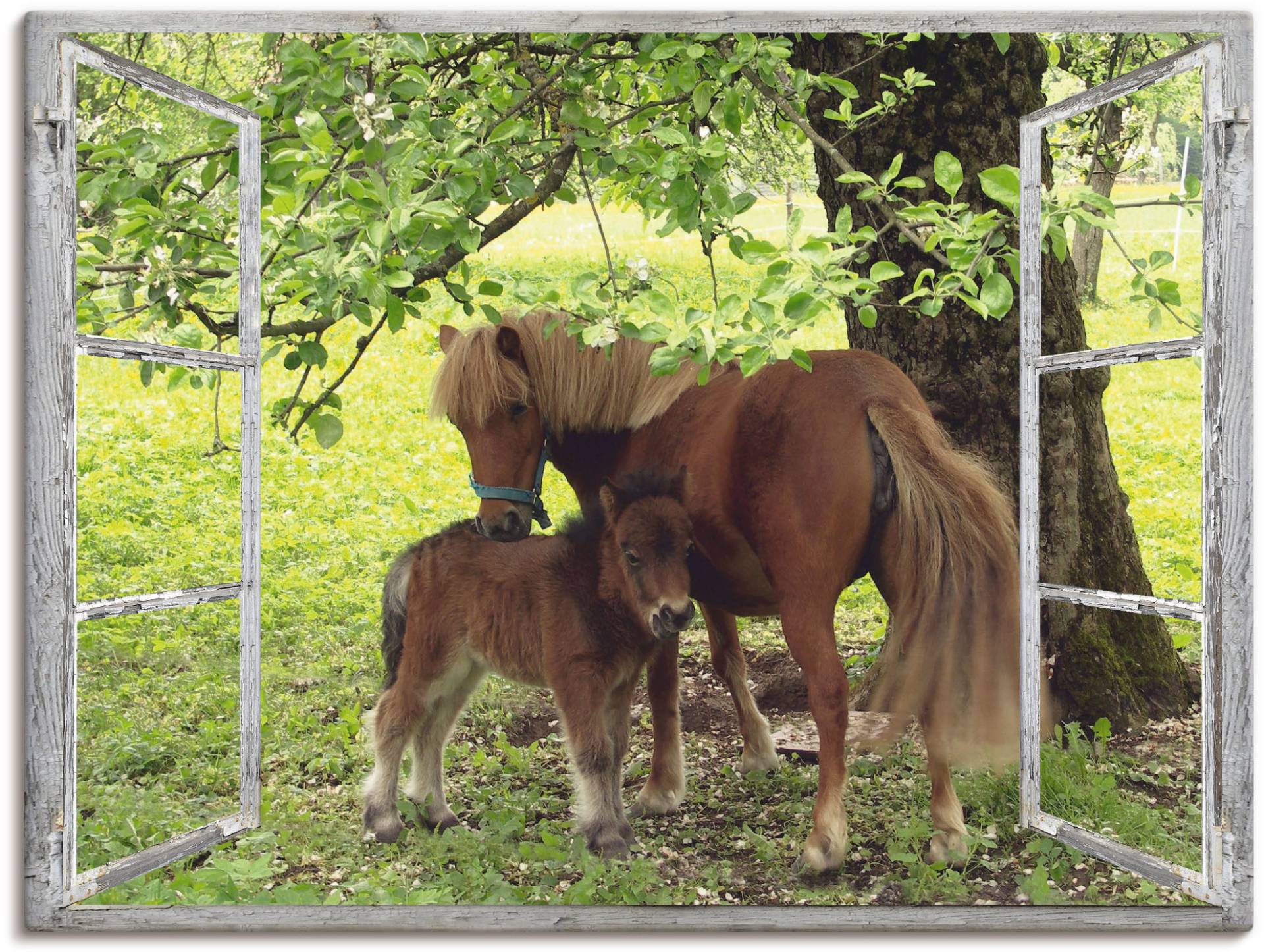 Artland Wandbild »Fensterblick - Pony mit Kind«, Haustiere, (1 St.), als Leinwandbild, Poster, Wandaufkleber in verschied. Grössen von Artland