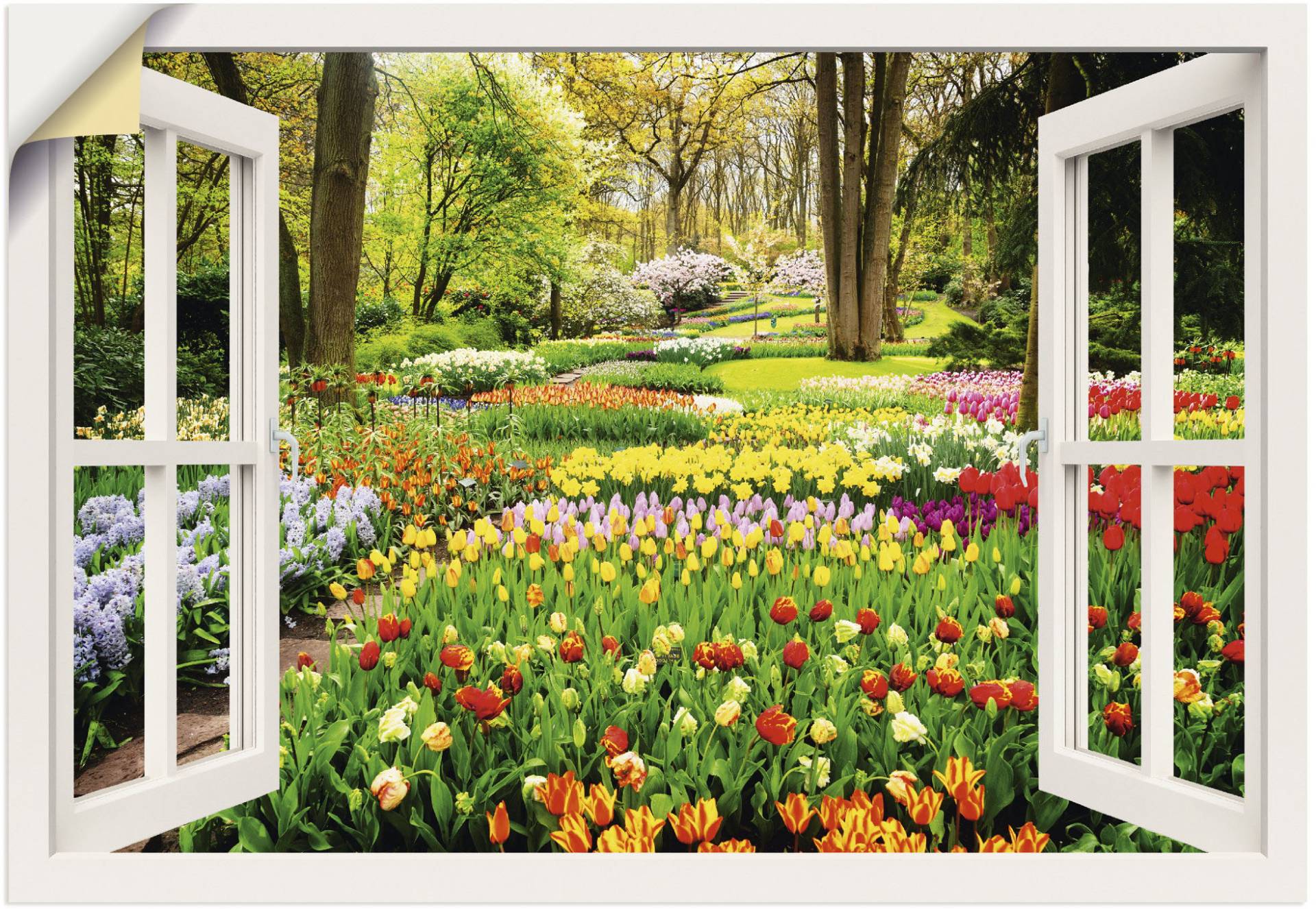 Artland Wandbild »Fensterblick Tulpen Garten Frühling«, Fensterblick, (1 St.), als Alubild, Outdoorbild, Leinwandbild, Poster, Wandaufkleber von Artland