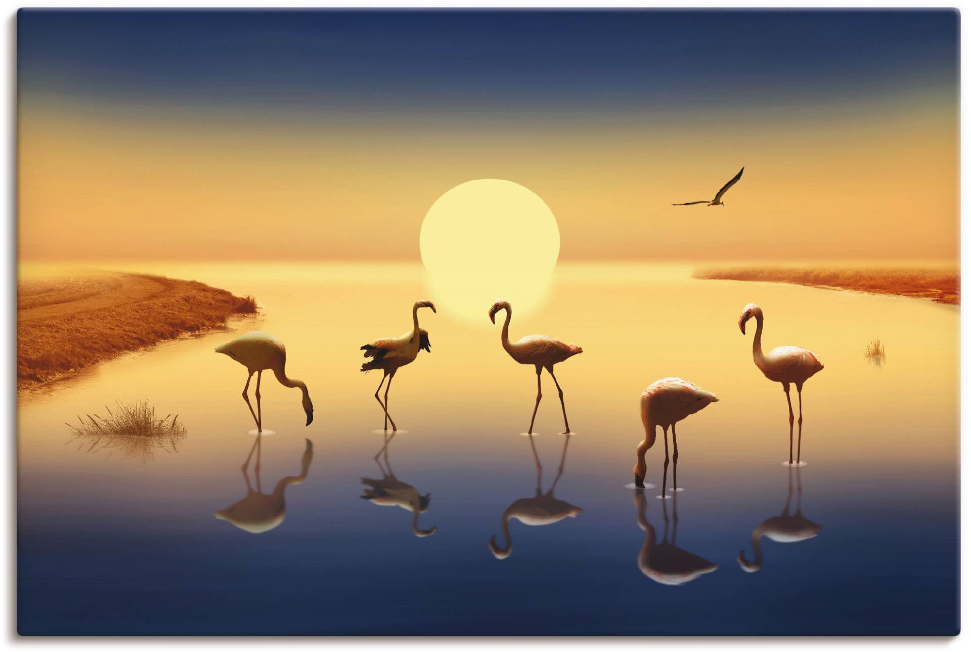 Artland Wandbild »Flamingos in der Abendsonne«, Vögel, (1 St.), als Alubild, Leinwandbild, Wandaufkleber oder Poster in versch. Grössen von Artland