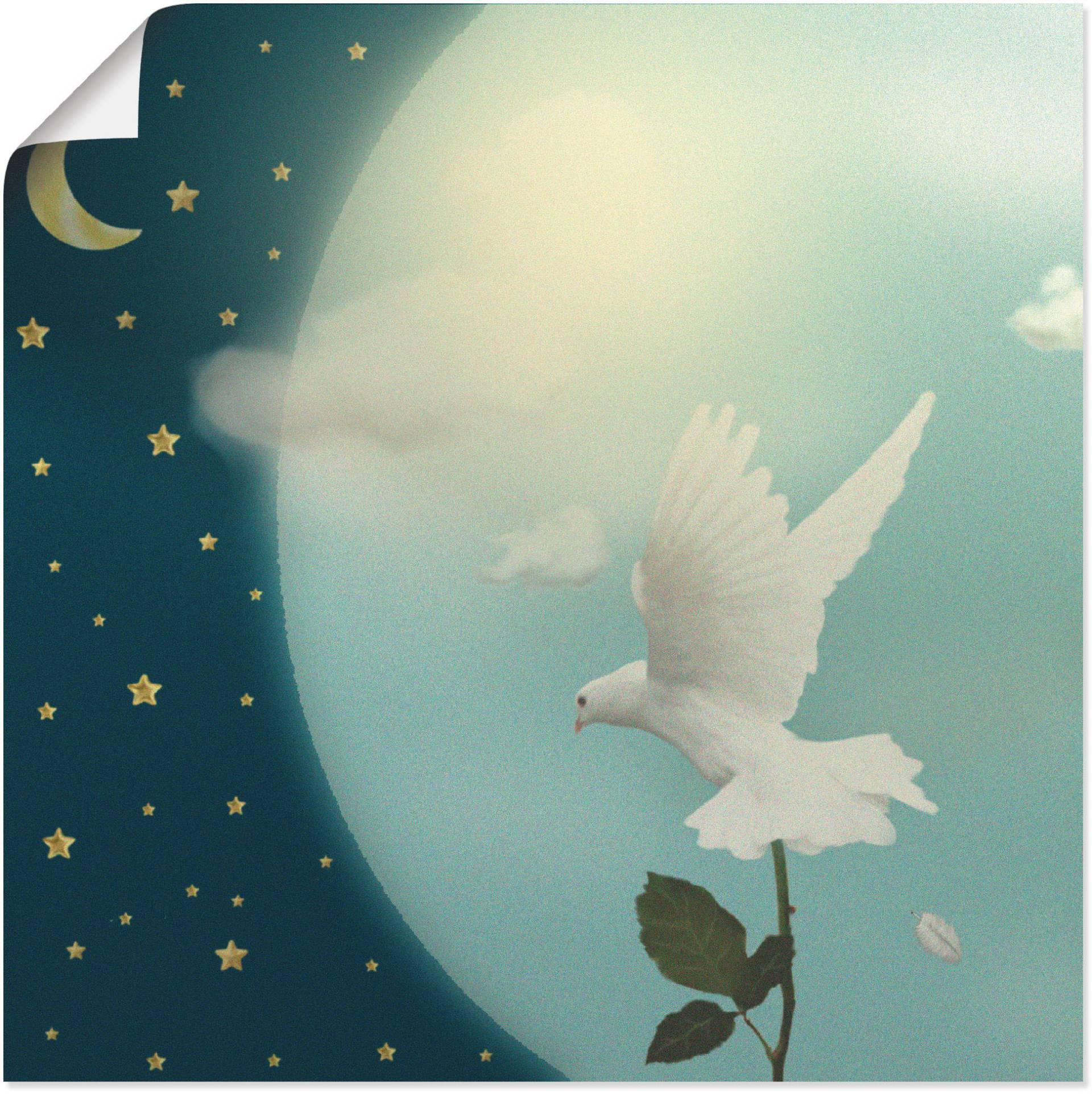 Artland Poster »Friedenstaube«, Vögel, (1 St.), als Leinwandbild, Wandaufkleber oder Poster in versch. Grössen von Artland
