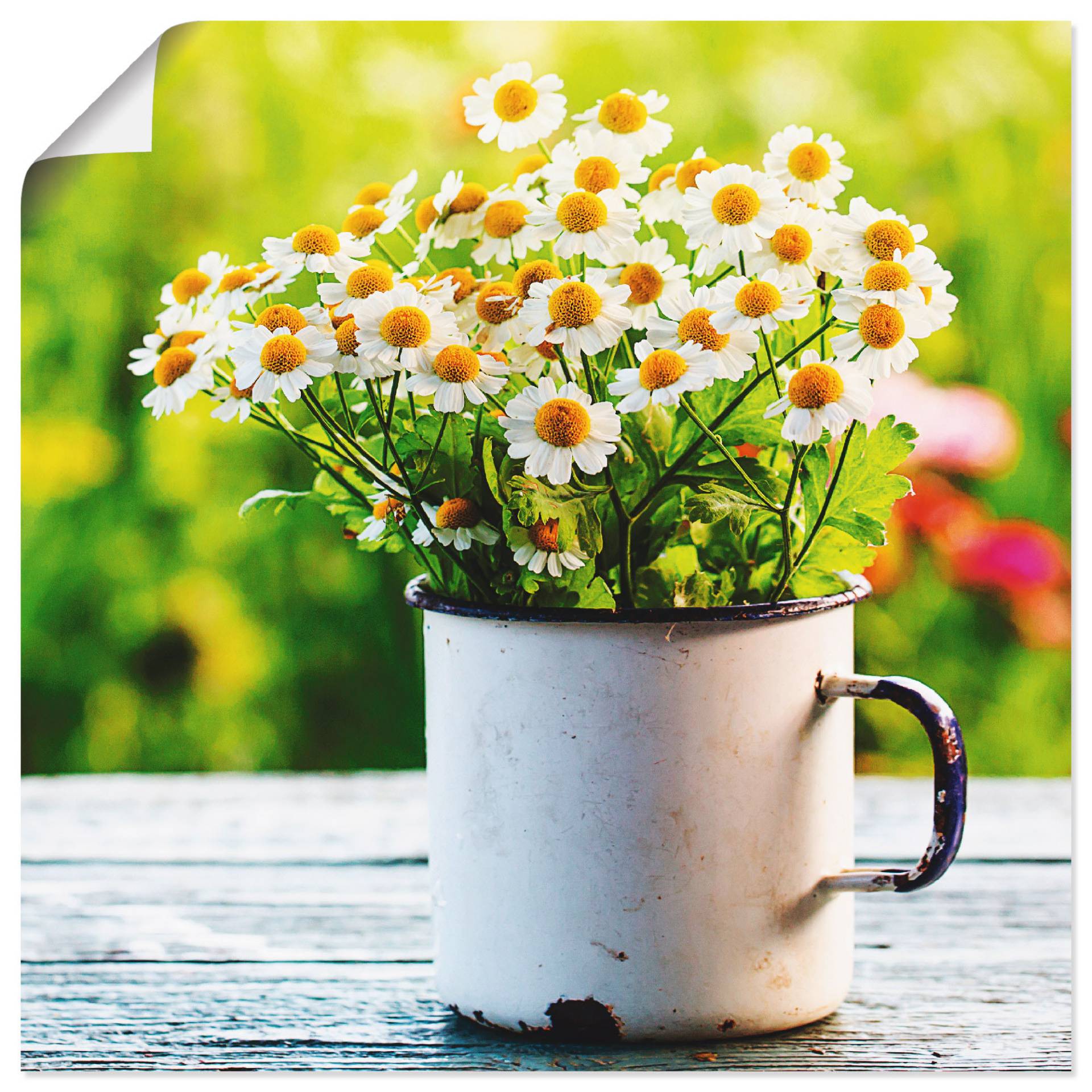 Artland Wandbild »Frühlingsgarten mit Gänseblümchen«, Blumen, (1 St.), als Leinwandbild, Poster, Wandaufkleber in verschied. Grössen von Artland