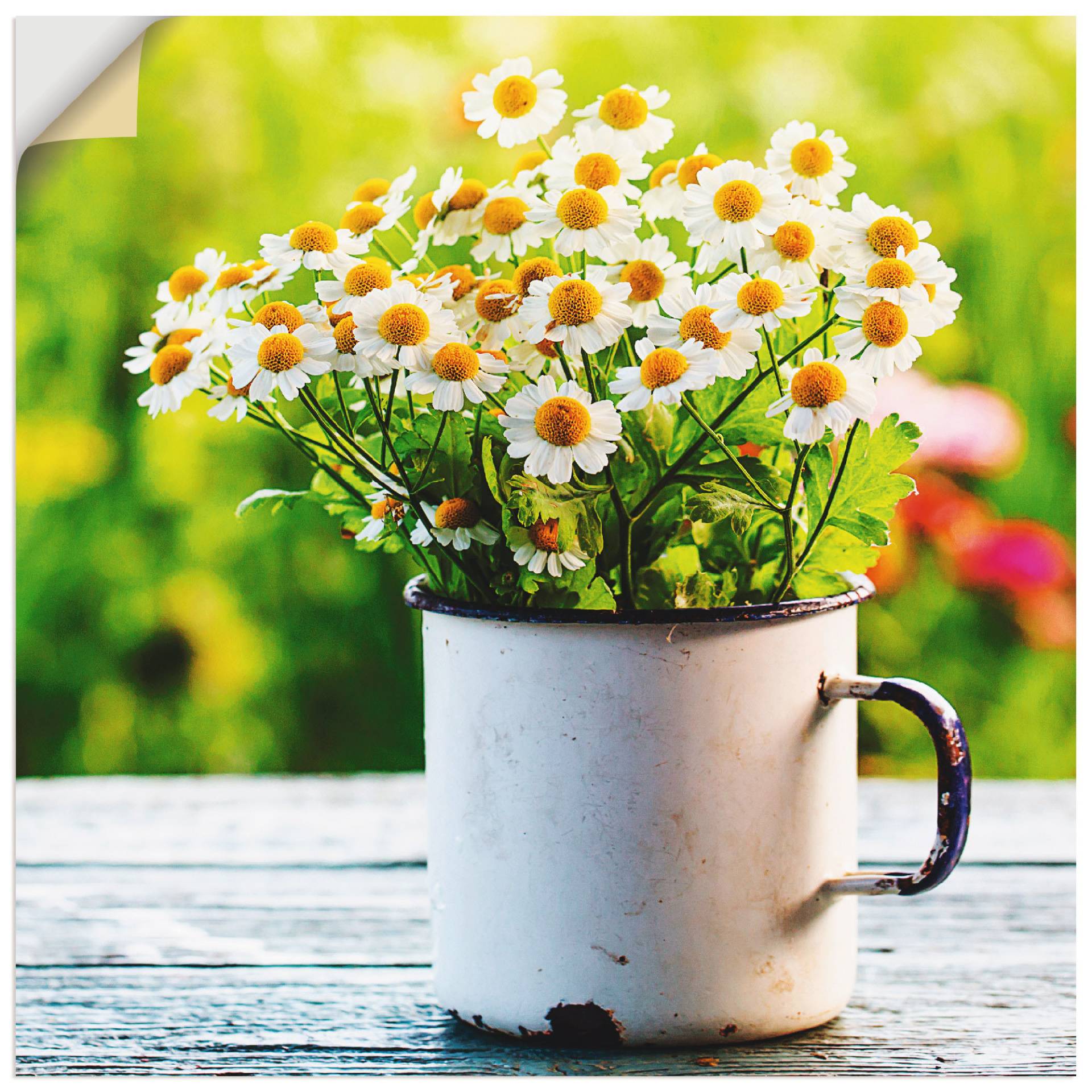 Artland Wandbild »Frühlingsgarten mit Gänseblümchen«, Blumen, (1 St.), als Leinwandbild, Poster, Wandaufkleber in verschied. Grössen von Artland