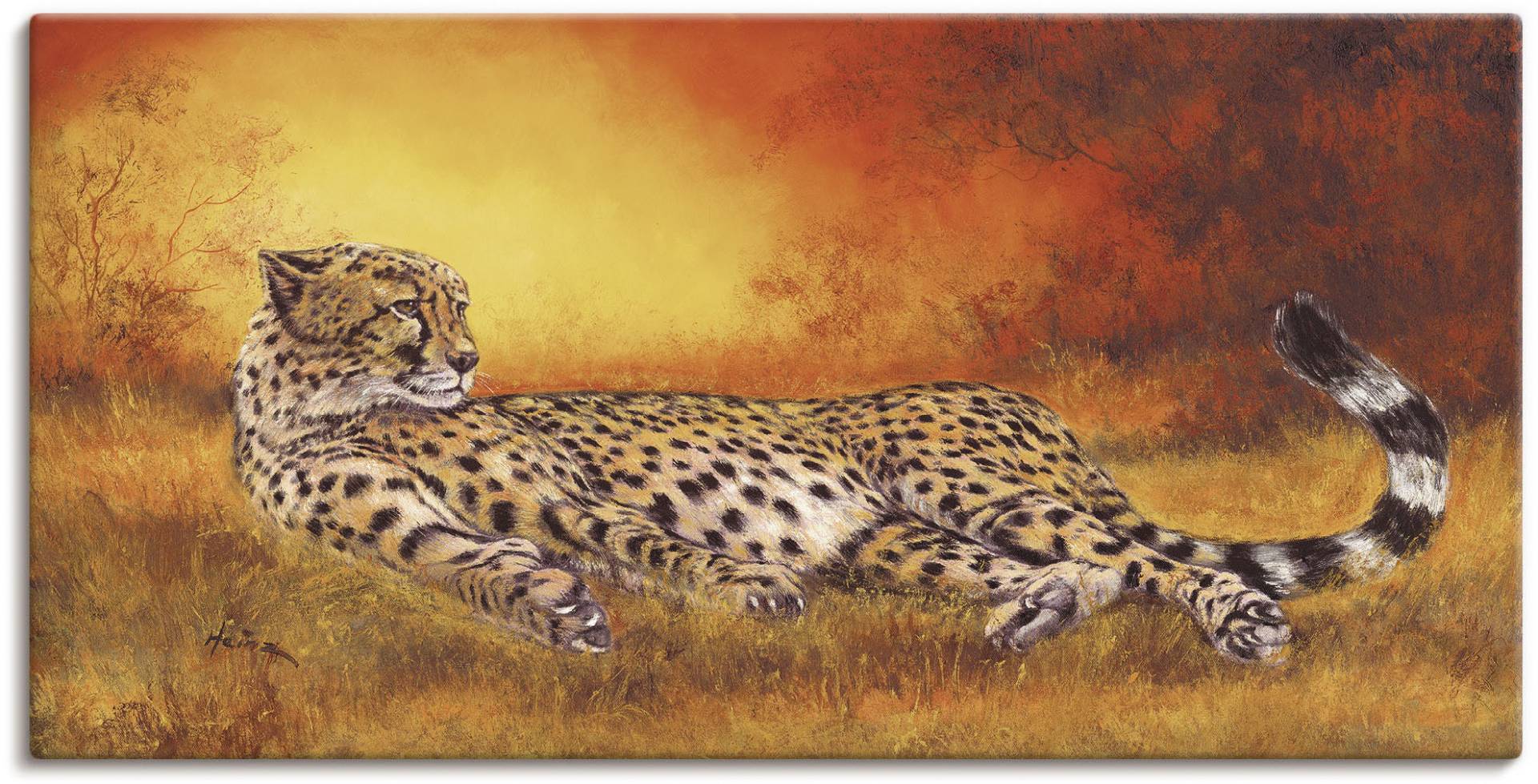 Artland Wandbild »Gepard«, Geparden Bilder, (1 St.), als Alubild, Outdoorbild, Leinwandbild, Poster, Wandaufkleber von Artland