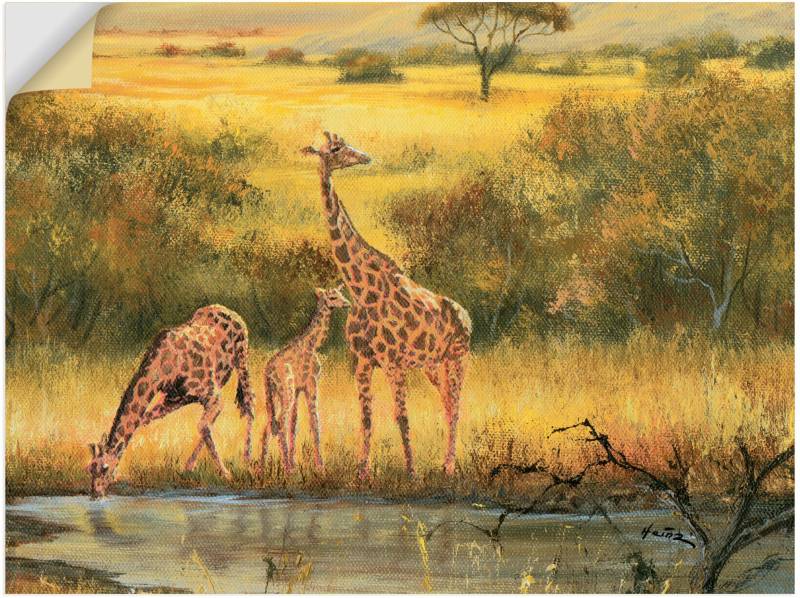 Artland Wandbild »Giraffen«, (1 St.), als Alubild, Leinwandbild, Wandaufkleber oder Poster in versch. Grössen von Artland