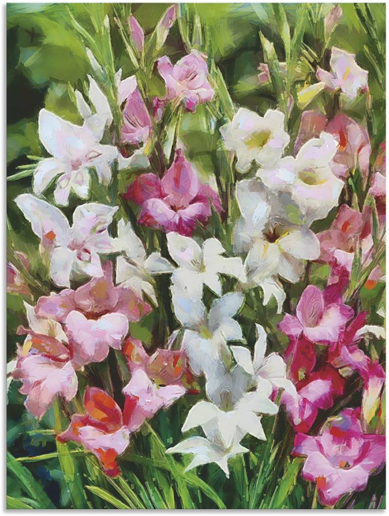 Artland Wandbild »Gladiolus II«, Blumenbilder, (1 St.), als Alubild, Leinwandbild, Wandaufkleber oder Poster in versch. Grössen von Artland