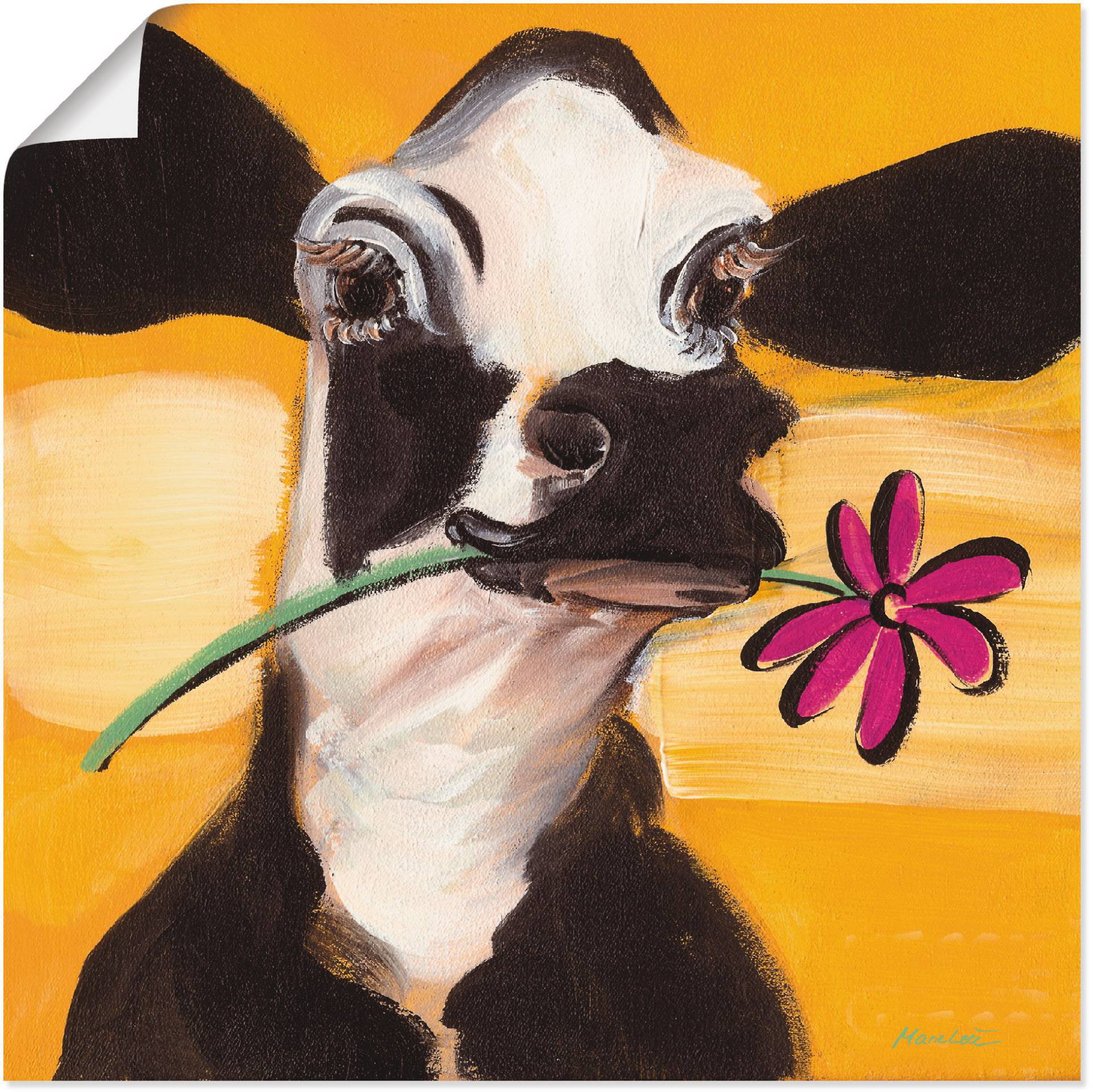 Artland Wandbild »Glückliche Kuh«, Haustiere, (1 St.), als Leinwandbild, Poster, Wandaufkleber in verschied. Grössen von Artland