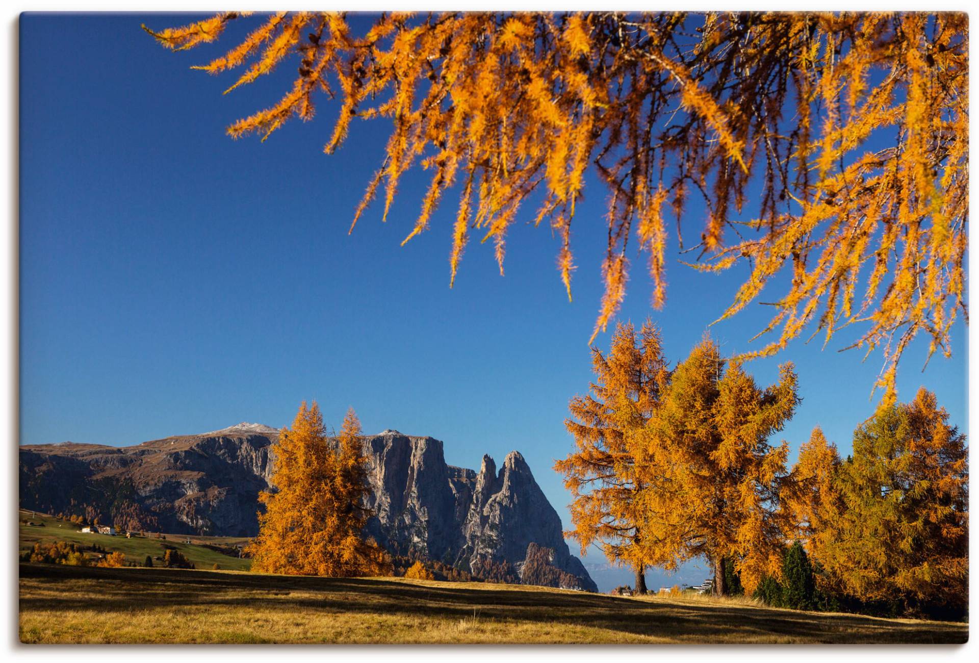 Artland Leinwandbild »Goldener Herbst auf der Seiser Alm«, Wiesen & Baumbilder, (1 St.), auf Keilrahmen gespannt von Artland