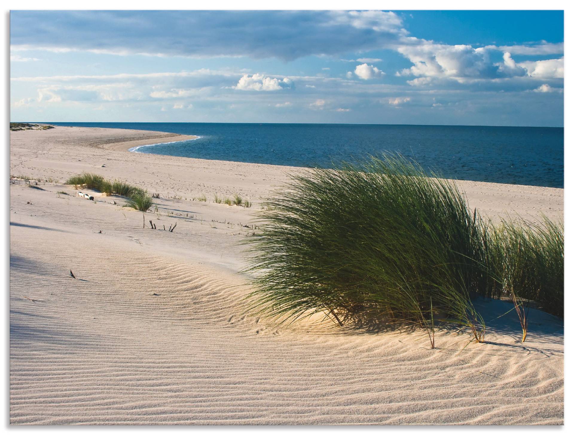 Artland Wandbild »Gras am Strand«, Strand, (1 St.), als Alubild, Outdoorbild, Leinwandbild in verschied. Grössen von Artland