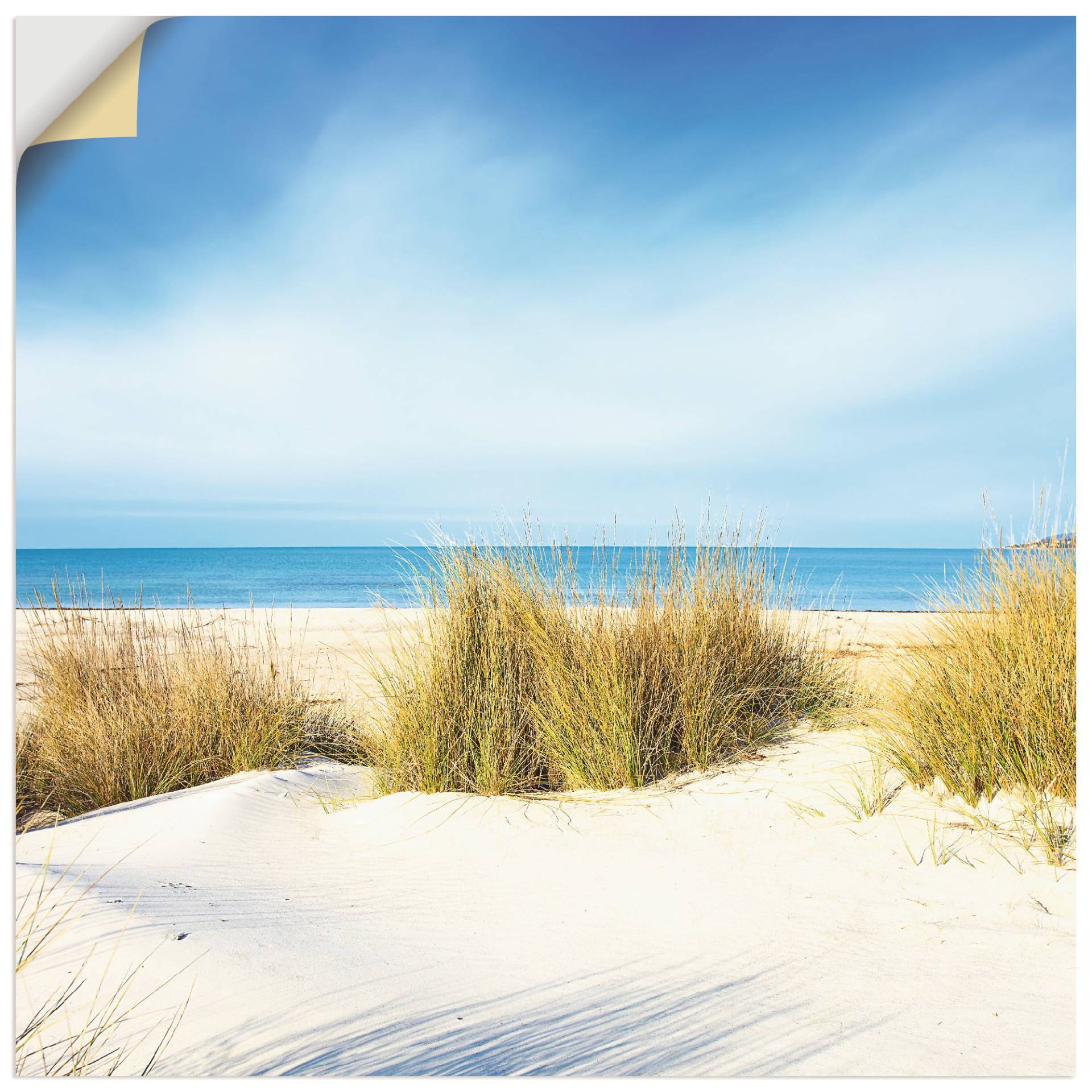 Artland Wandbild »Gras auf Sanddünen«, Strand, (1 St.), als Leinwandbild, Poster, Wandaufkleber in verschied. Grössen von Artland