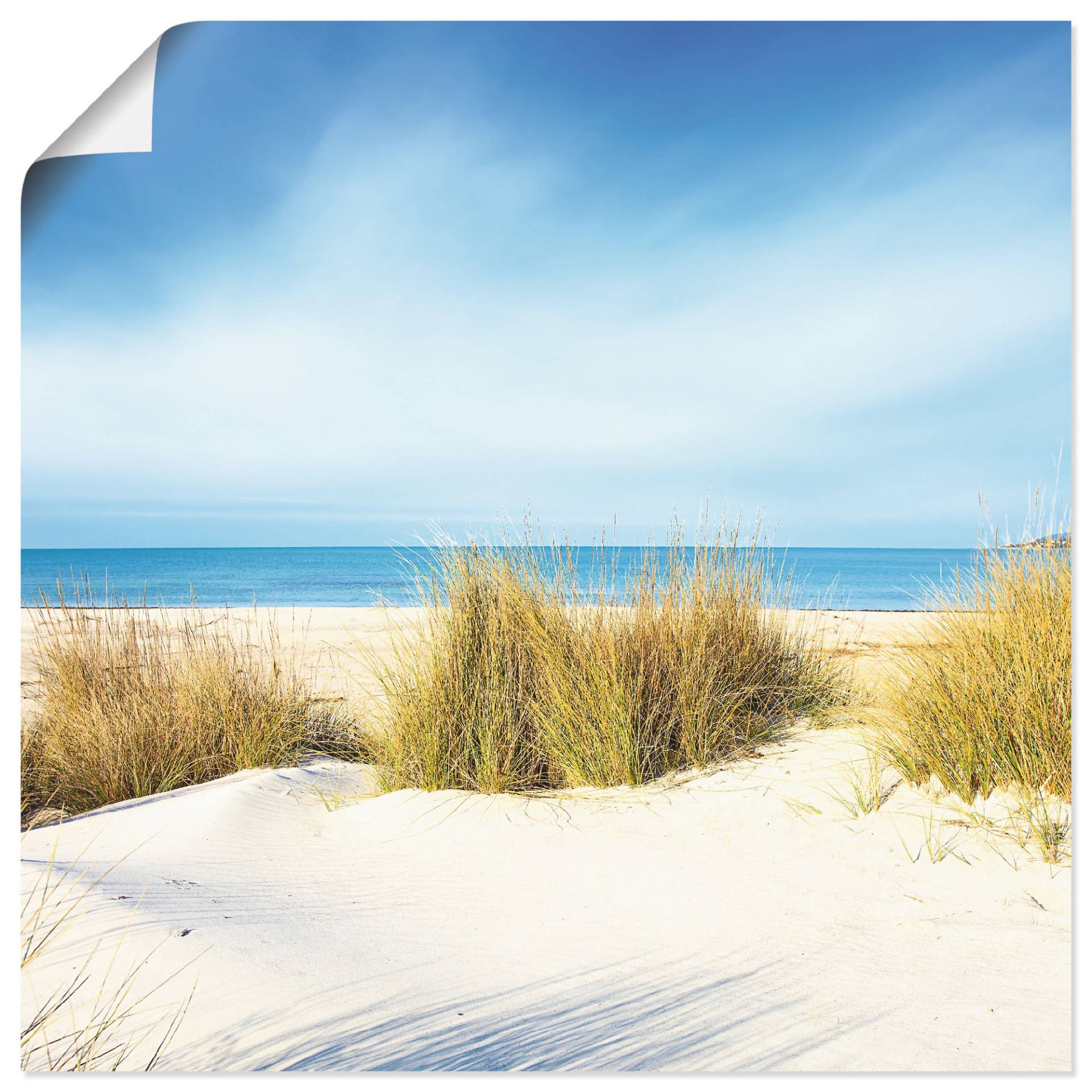 Artland Wandbild »Gras auf Sanddünen«, Strand, (1 St.), als Leinwandbild, Poster, Wandaufkleber in verschied. Grössen von Artland