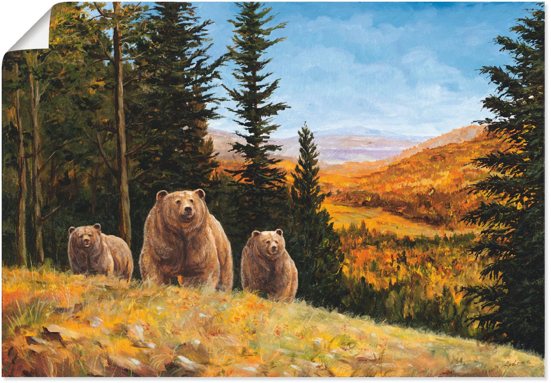 Artland Wandbild »Grizzly Bären«, Wildtiere, (1 St.), als Leinwandbild, Poster in verschied. Grössen von Artland