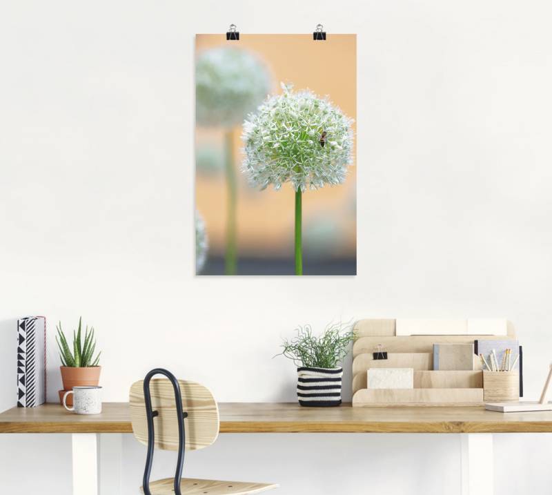 Artland Wandbild »Grosser Allium in Pastell«, Blumen, (1 St.), als Leinwandbild, Wandaufkleber in verschied. Grössen von Artland