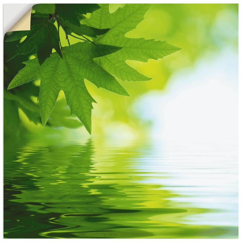 Artland Wandbild »Grüne Blätter reflektieren im Wasser«, Blätter, (1 St.), als Leinwandbild, Poster, Wandaufkleber in verschied. Grössen von Artland