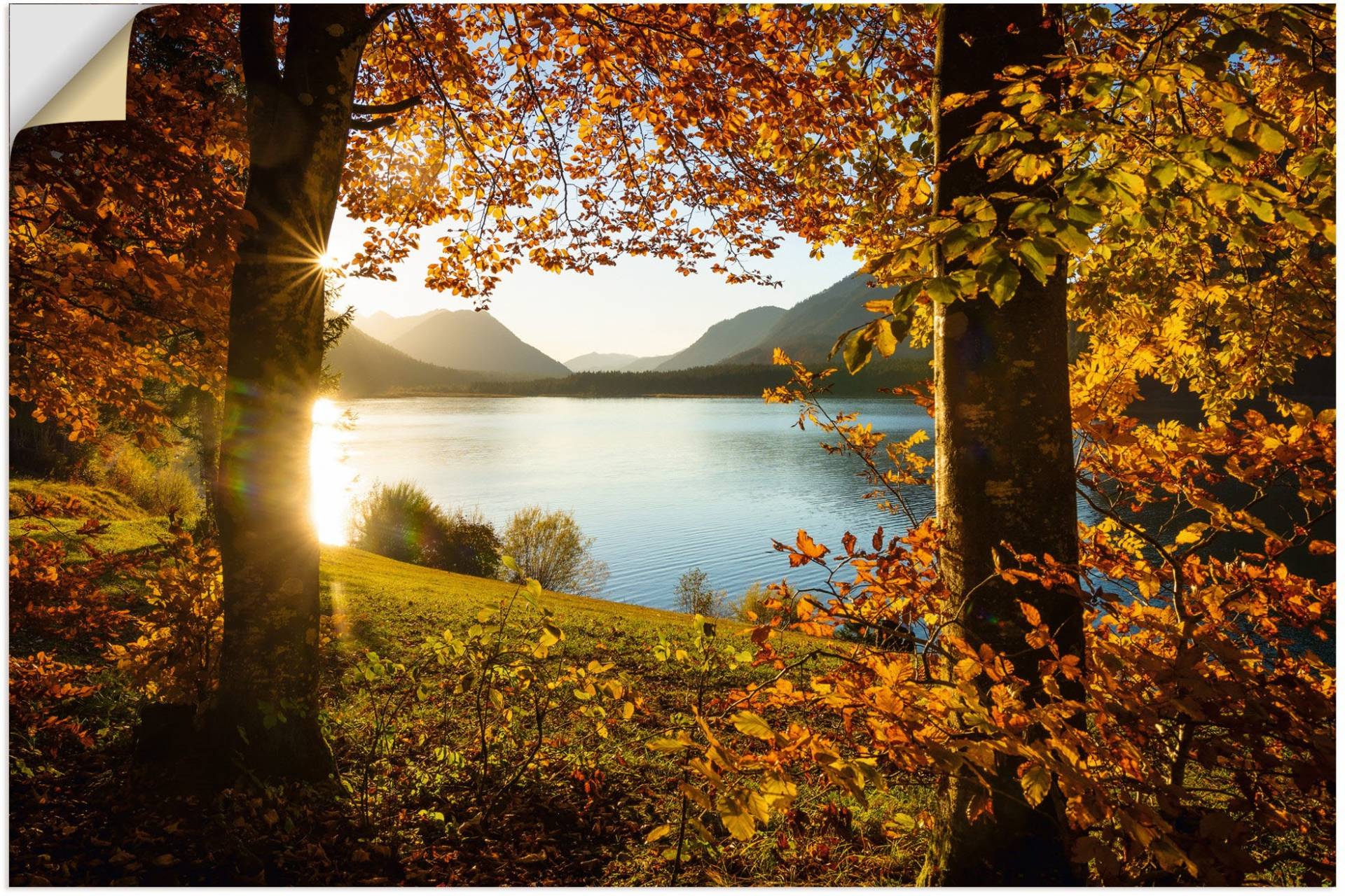 Artland Wandbild »Herbst am Sylvensteinsee«, Gewässer, (1 St.), als Alubild, Outdoorbild, Leinwandbild, Poster in verschied. Grössen von Artland