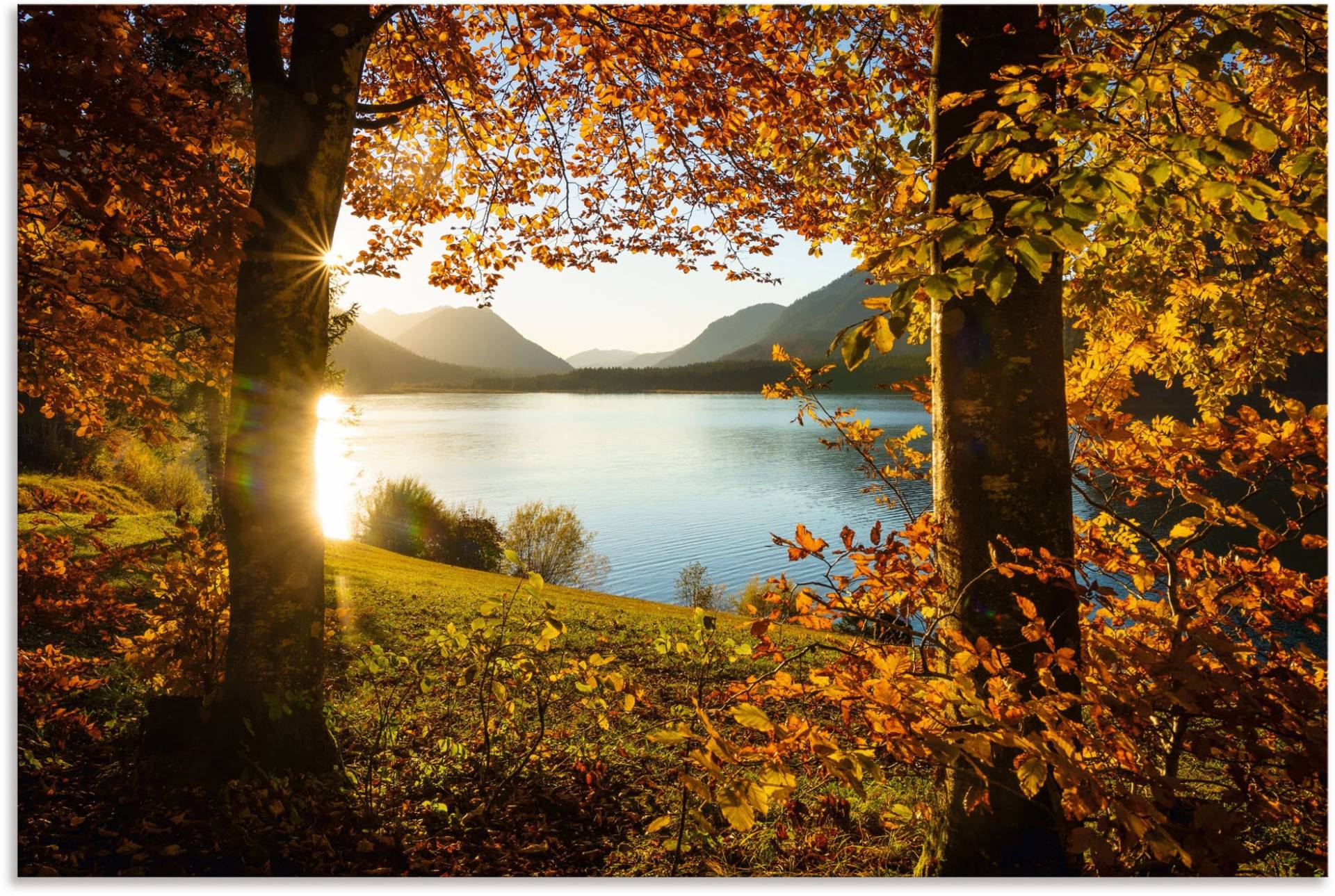 Artland Wandbild »Herbst am Sylvensteinsee«, Gewässer, (1 St.), als Alubild, Outdoorbild, Leinwandbild, Poster in verschied. Grössen von Artland