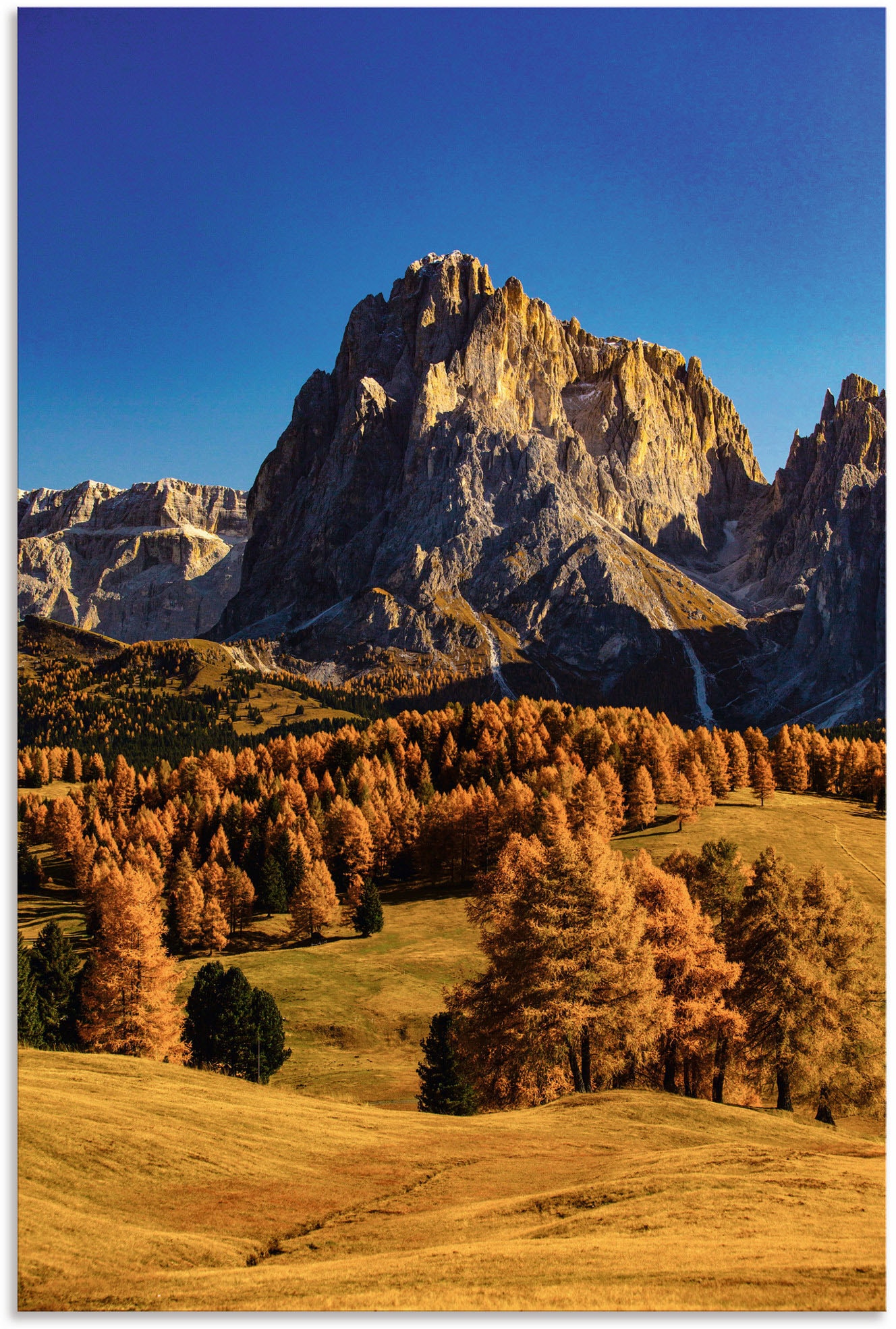 Artland Wandbild »Herbst auf der Seiser Alm«, Wiesen & Baumbilder, (1 St.), als Alubild, Leinwandbild, Wandaufkleber oder Poster in versch. Grössen von Artland