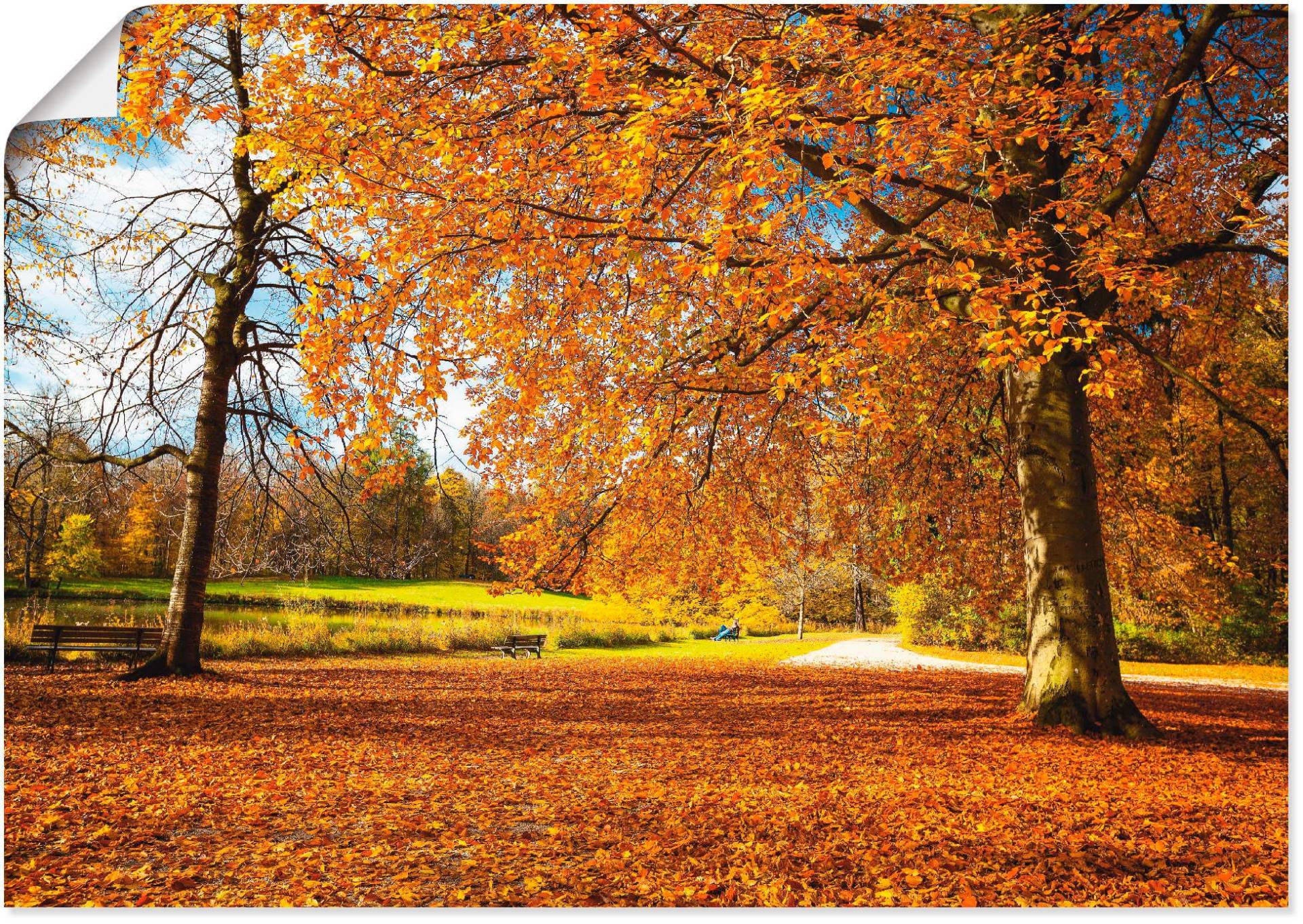 Artland Wandbild »Herbst bei Schlosses Nymphenburg«, Wiesen & Bäume, (1 St.), als Leinwandbild, Poster in verschied. Grössen von Artland