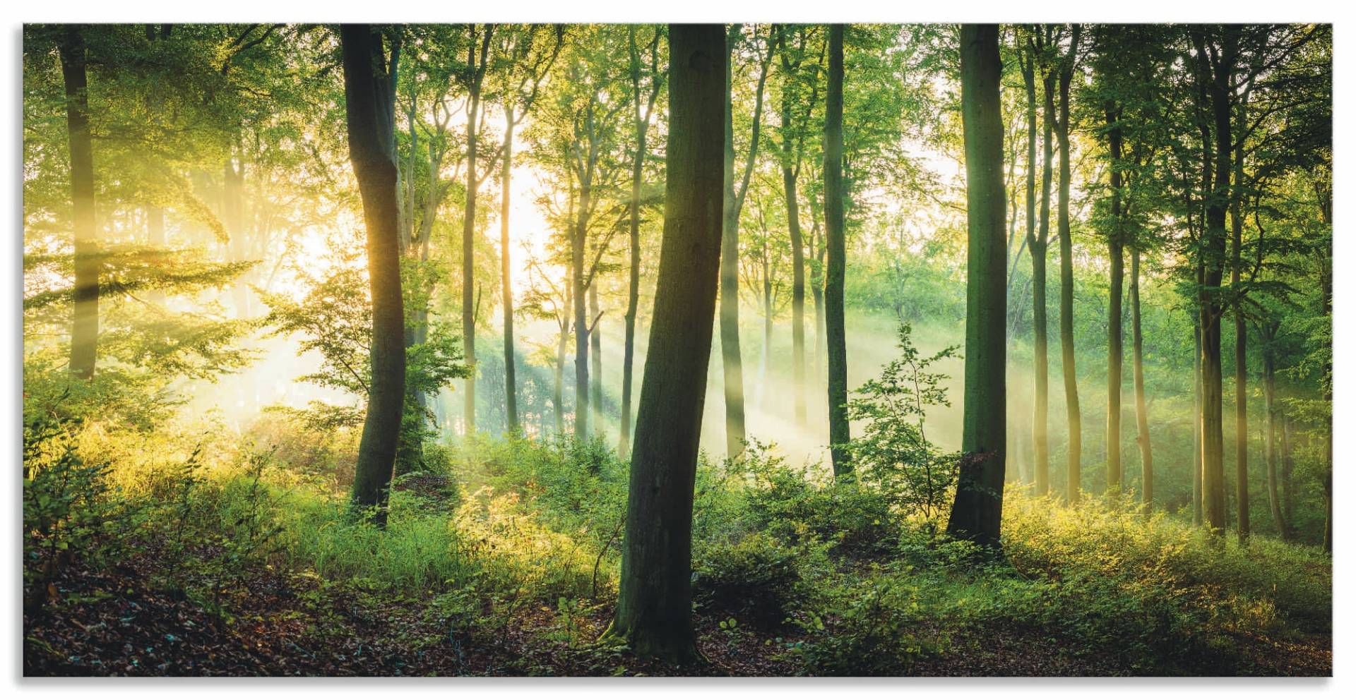 Artland Wandbild »Herbst im Wald II«, Waldbilder, (1 St.), als Alubild, Outdoorbild, Leinwandbild, Poster, Wandaufkleber von Artland