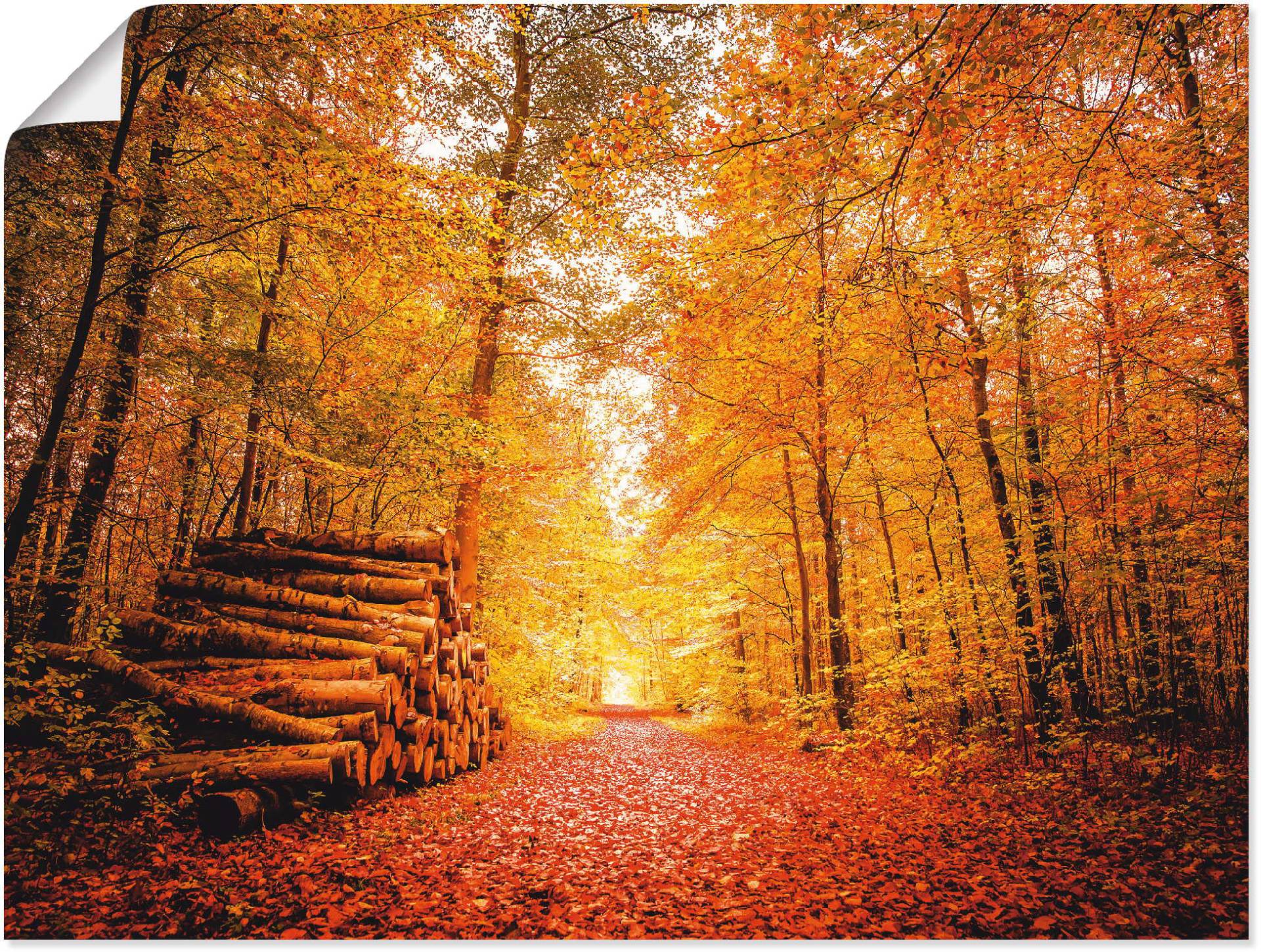 Artland Poster »Herbstlandschaft«, Vier Jahreszeiten, (1 St.), als Alubild, Leinwandbild, Wandaufkleber oder Poster in versch. Grössen von Artland