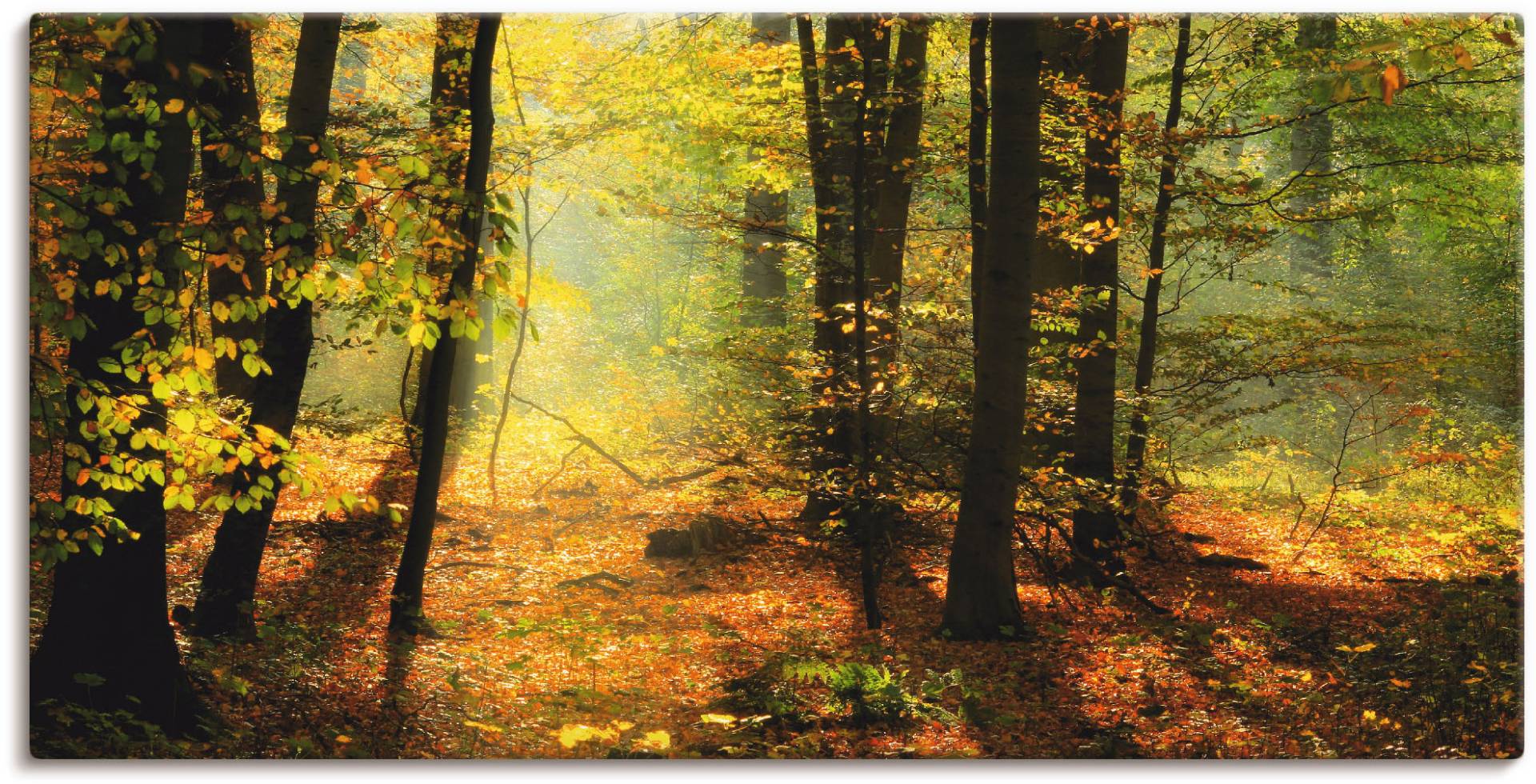 Artland Wandbild »Herbstlicht im Wald«, Wald, (1 St.), als Leinwandbild, Poster, Wandaufkleber in verschied. Grössen von Artland