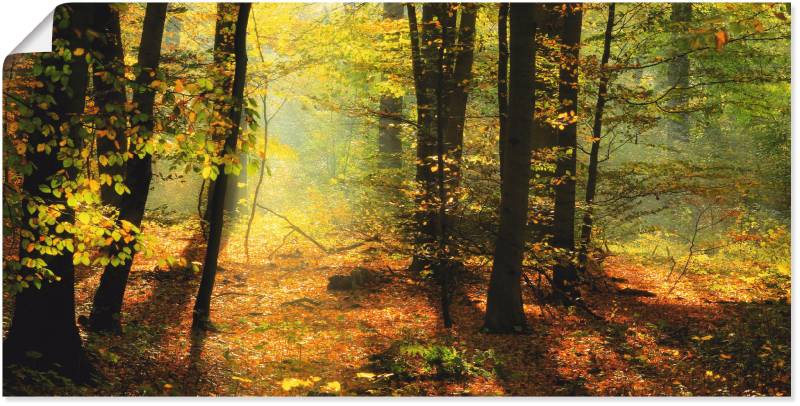 Artland Wandbild »Herbstlicht im Wald«, Wald, (1 St.), als Leinwandbild, Poster, Wandaufkleber in verschied. Grössen von Artland