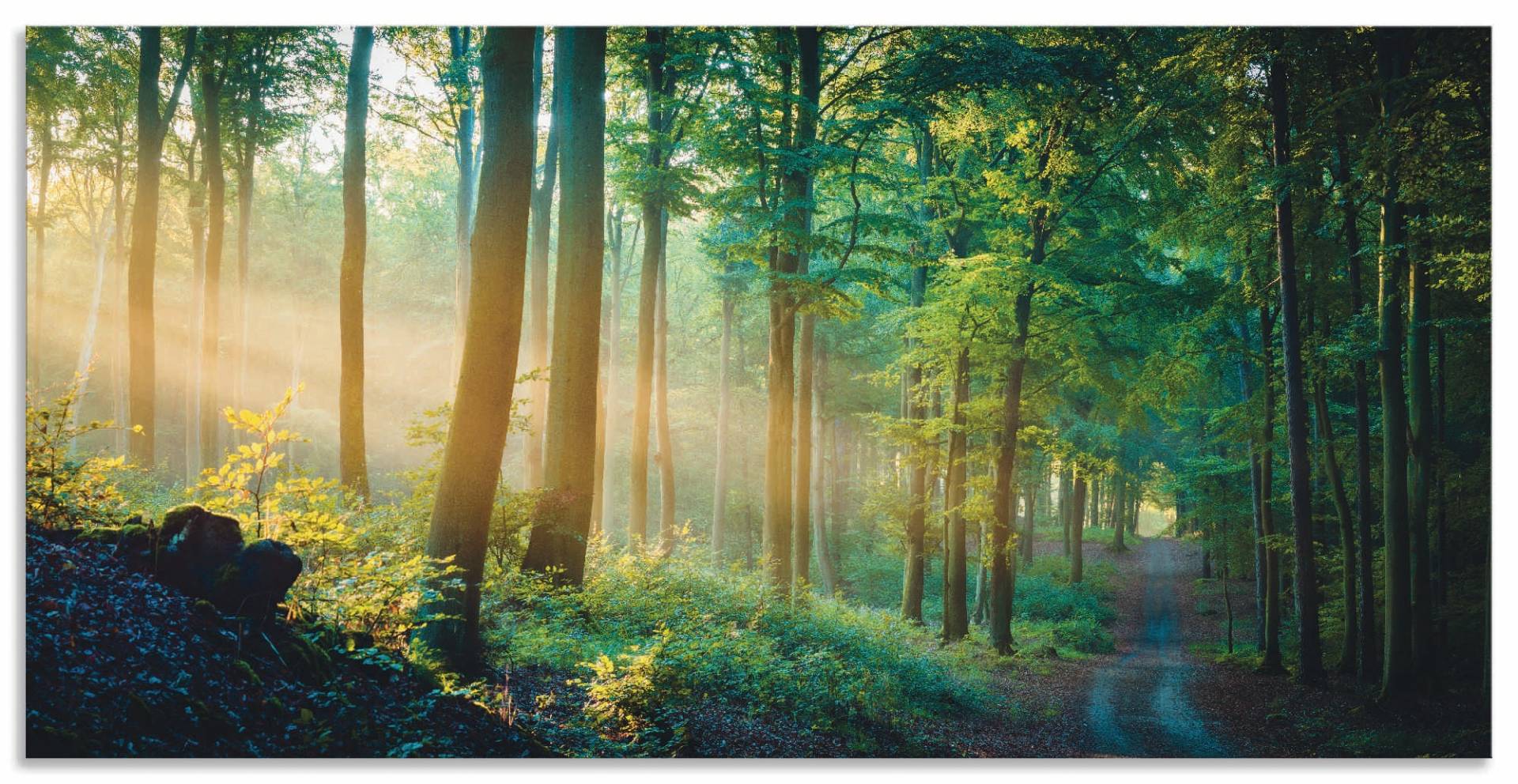 Artland Wandbild »Herbstmorgen im Wald«, Waldbilder, (1 St.), als Alubild, Outdoorbild, Leinwandbild, Poster in verschied. Grössen von Artland