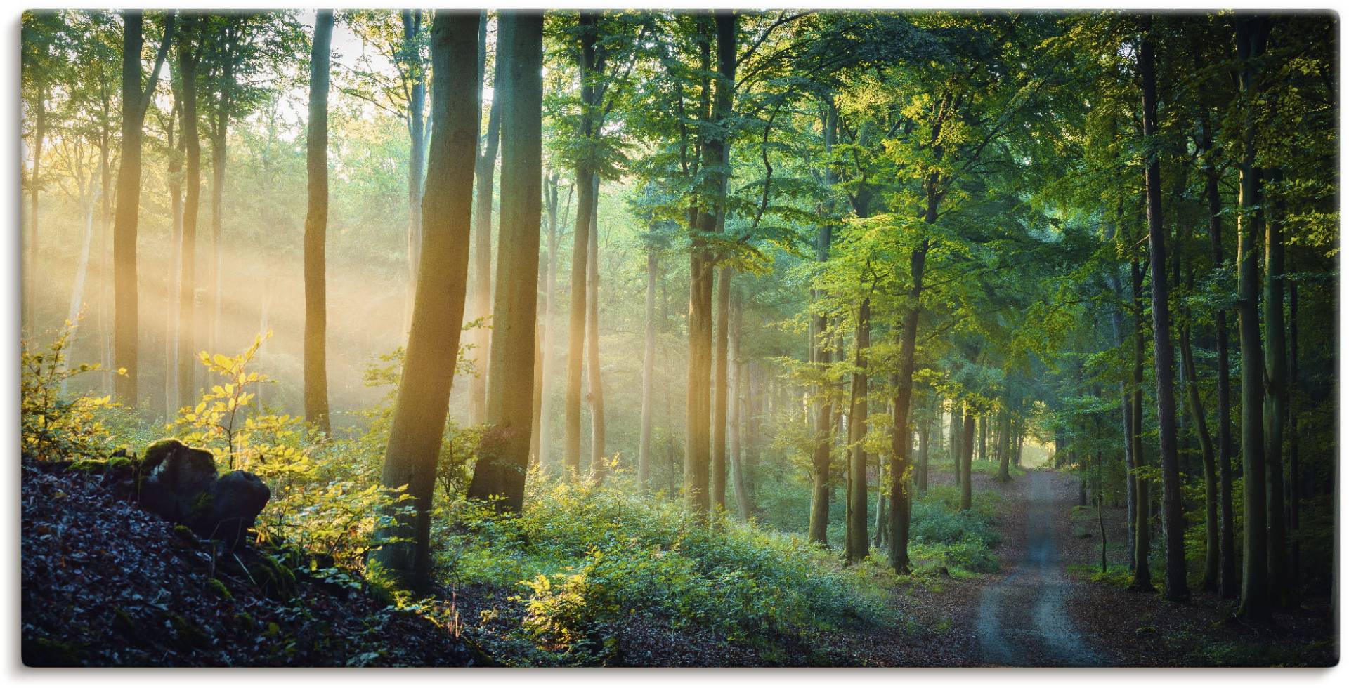 Artland Wandbild »Herbstmorgen im Wald«, Waldbilder, (1 St.), als Alubild, Outdoorbild, Leinwandbild, Poster in verschied. Grössen von Artland