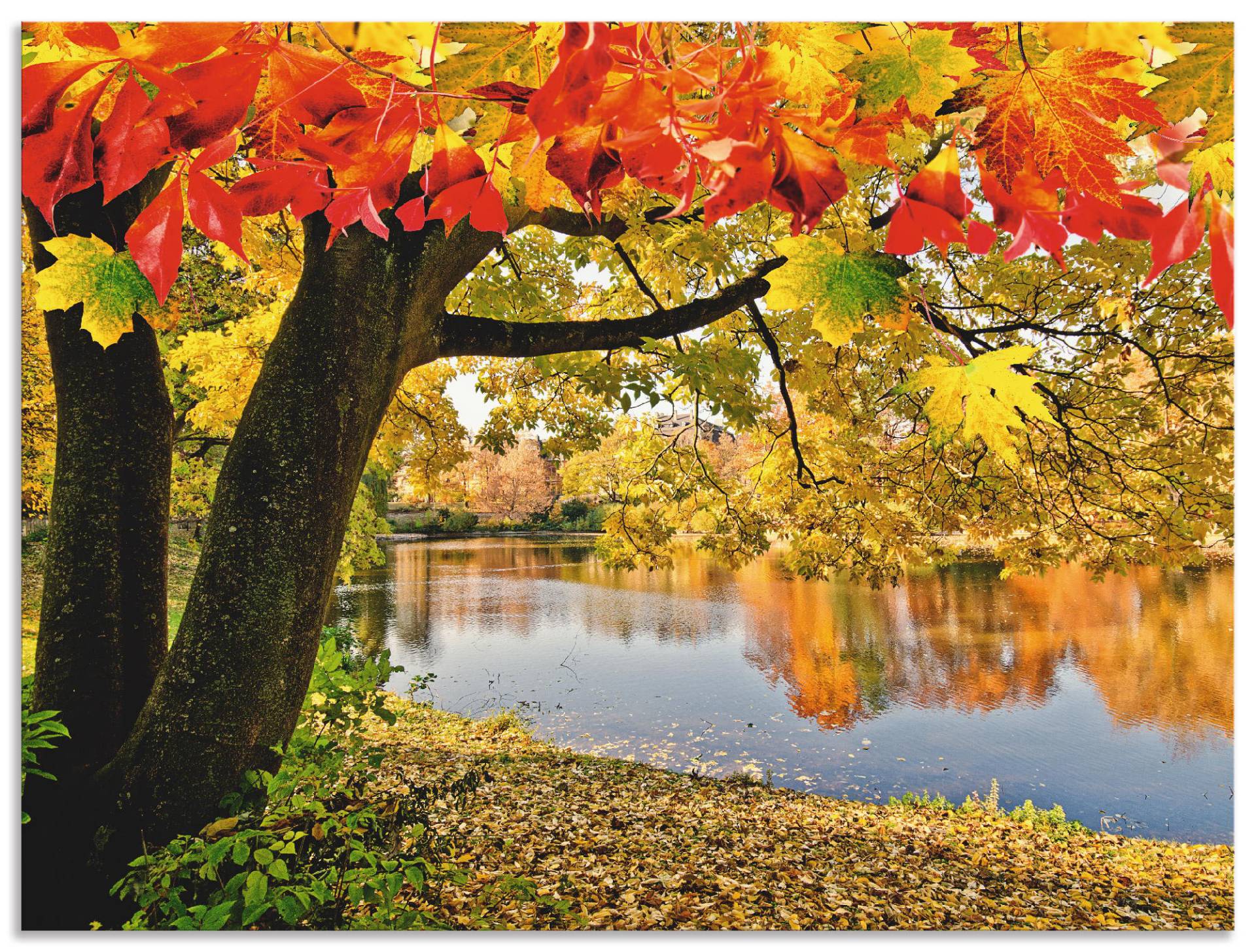 Artland Wandbild »Herbsttag an einem ruhigen See«, Gewässer, (1 St.), als Alubild, Outdoorbild, Leinwandbild in verschied. Grössen von Artland