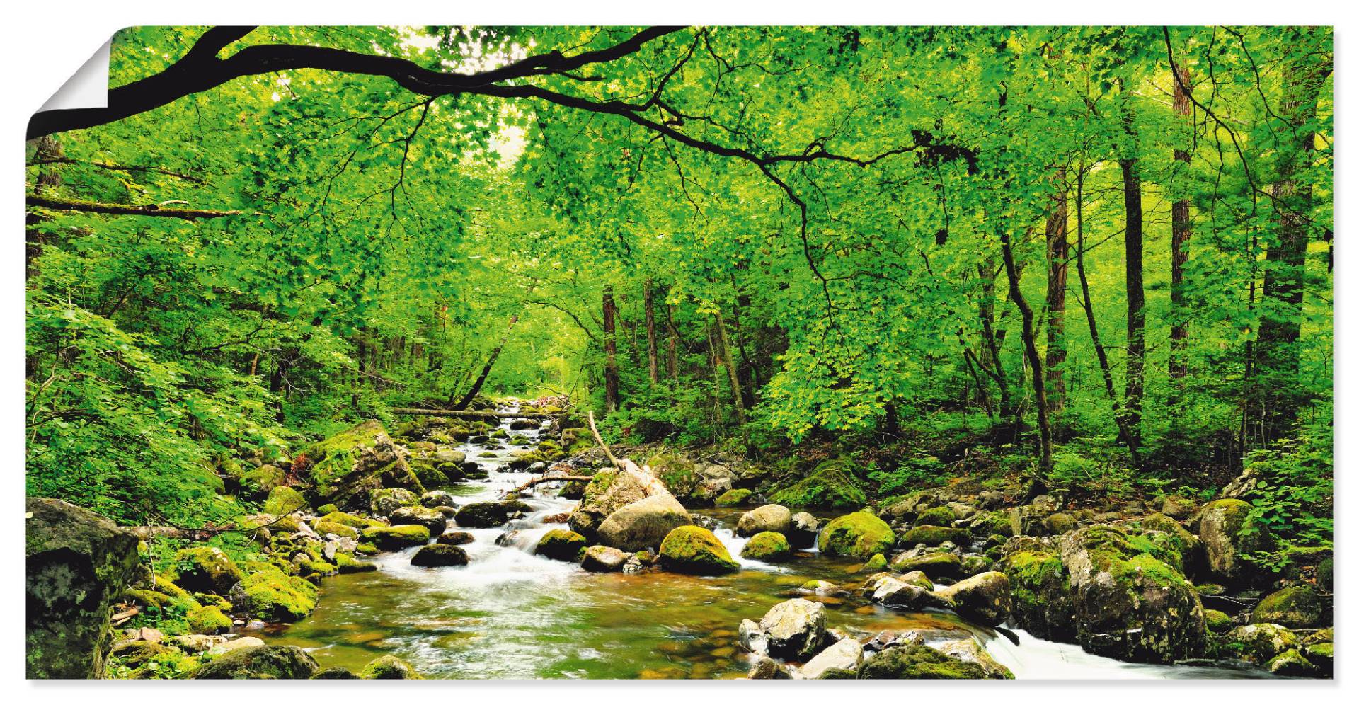 Artland Wandbild »Herbstwald Fluss Smolny«, Wald, (1 St.), als Leinwandbild, Poster, Wandaufkleber in verschied. Grössen von Artland