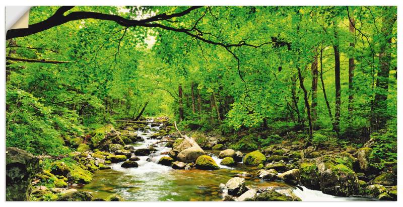 Artland Wandbild »Herbstwald Fluss Smolny«, Wald, (1 St.), als Leinwandbild, Poster, Wandaufkleber in verschied. Grössen von Artland