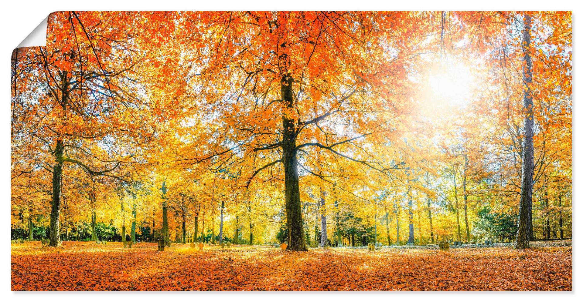 Artland Poster »Herbstwald Panorama«, Wald, (1 St.), als Alubild, Leinwandbild, Wandaufkleber oder Poster in versch. Grössen von Artland