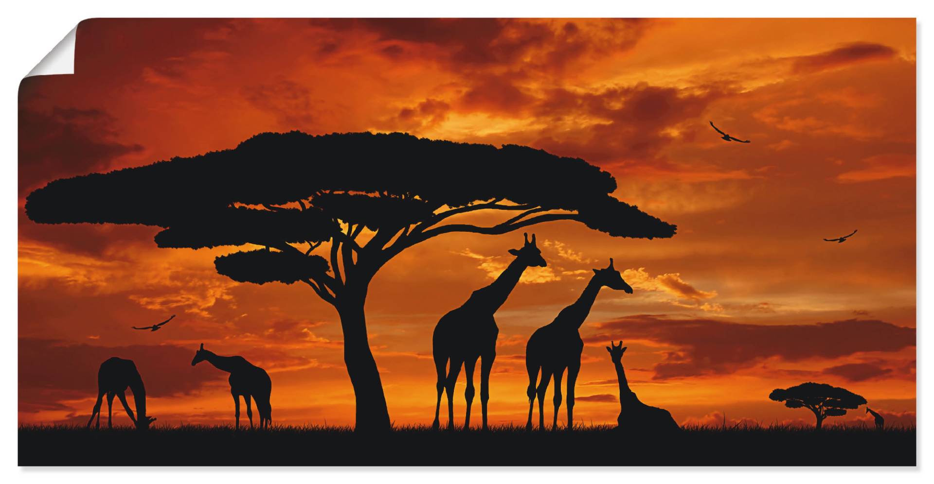 Artland Wandbild »Herde von Giraffen im Sonnenuntergang«, Wildtiere, (1 St.), als Leinwandbild, Poster in verschied. Grössen von Artland