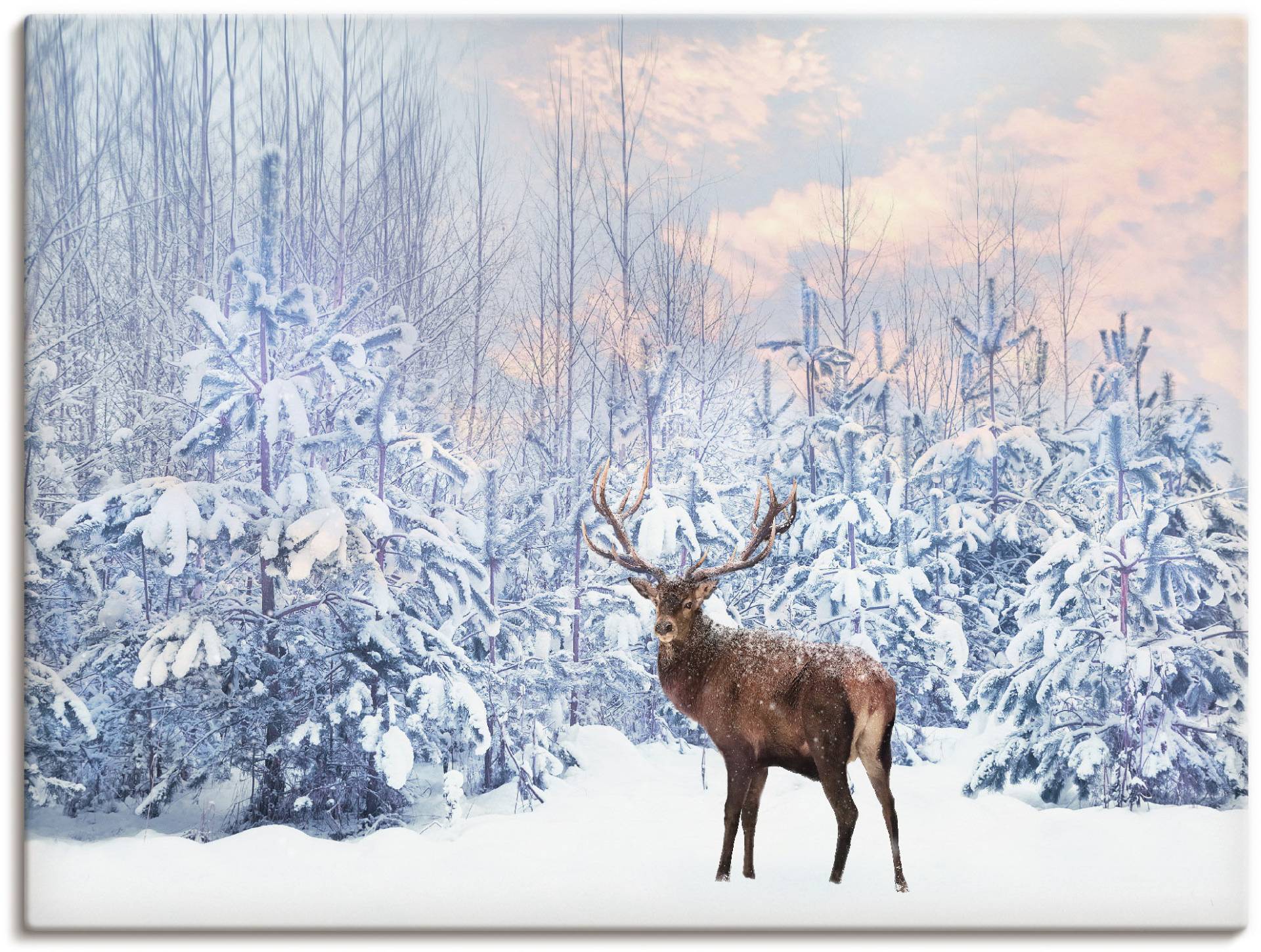 Artland Wandbild »Hirsch im Winterwald«, Hirschbilder, (1 St.), als Leinwandbild, Poster in verschied. Grössen von Artland