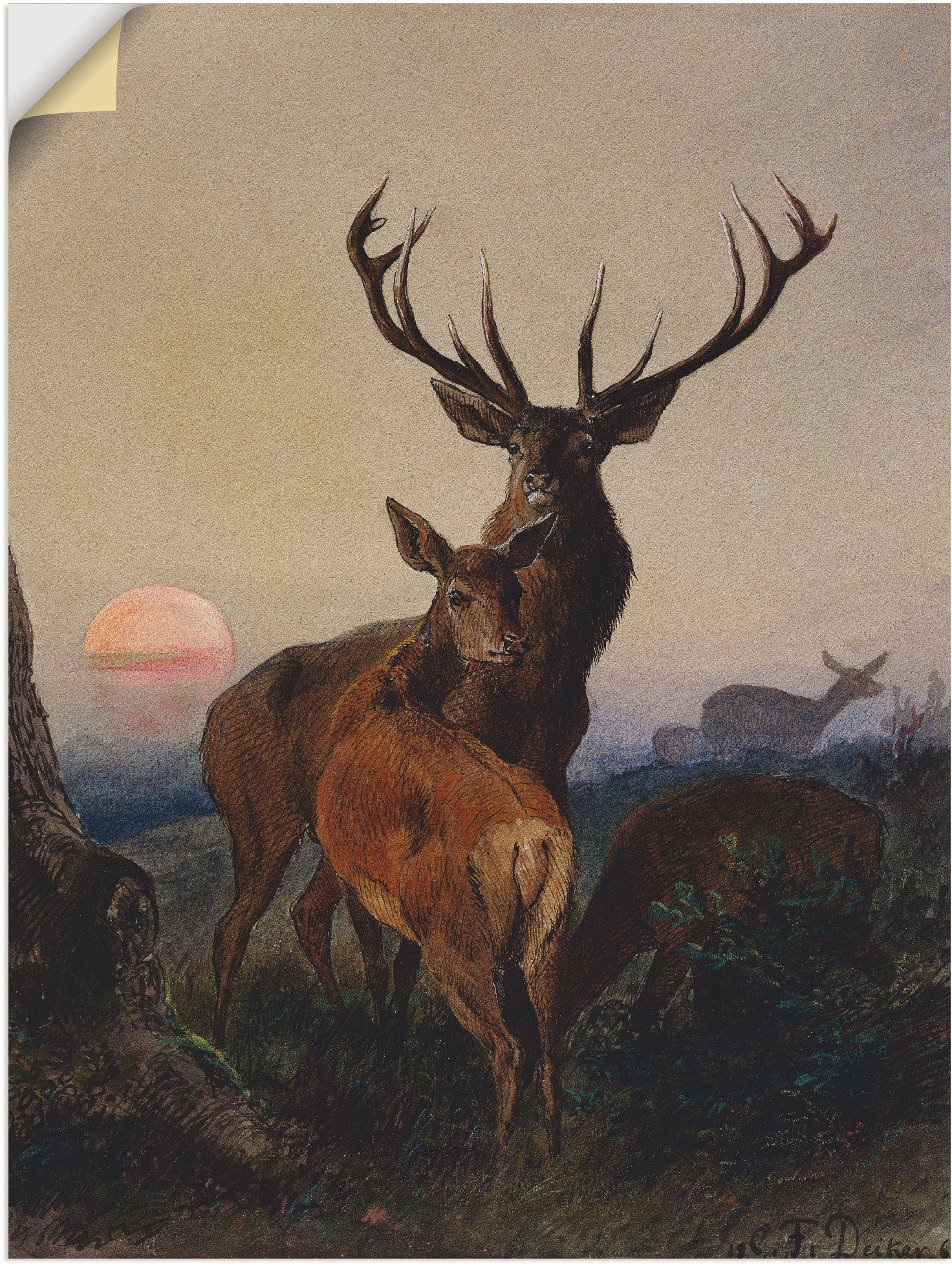 Artland Wandbild »Hirsch und ein Reh bei Sonnenuntergang«, Wildtiere, (1 St.), als Leinwandbild, Poster, Wandaufkleber in verschied. Grössen von Artland