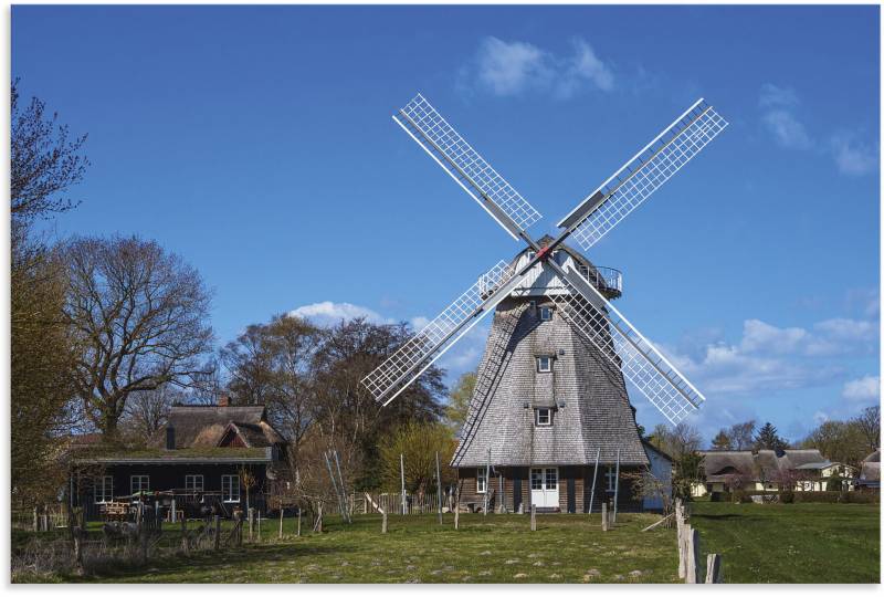 Artland Wandbild »Historische Windmühle in Ahrenshoop«, Gebäude, (1 St.), als Alubild, Leinwandbild, Wandaufkleber oder Poster in versch. Grössen von Artland