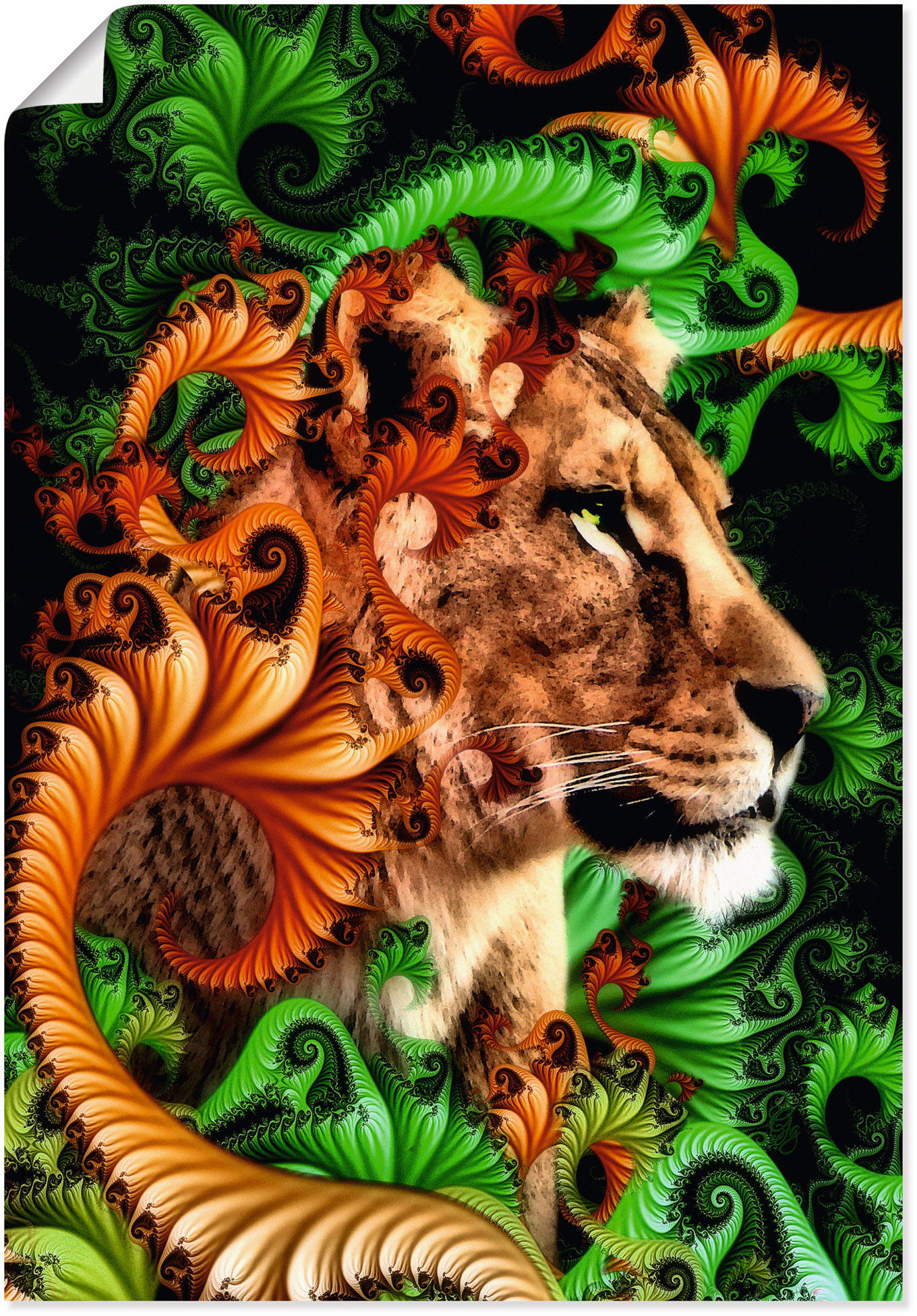 Artland Poster »Im Jungle«, Löwen, (1 St.), als Alubild, Leinwandbild, Wandaufkleber oder Poster in versch. Grössen von Artland