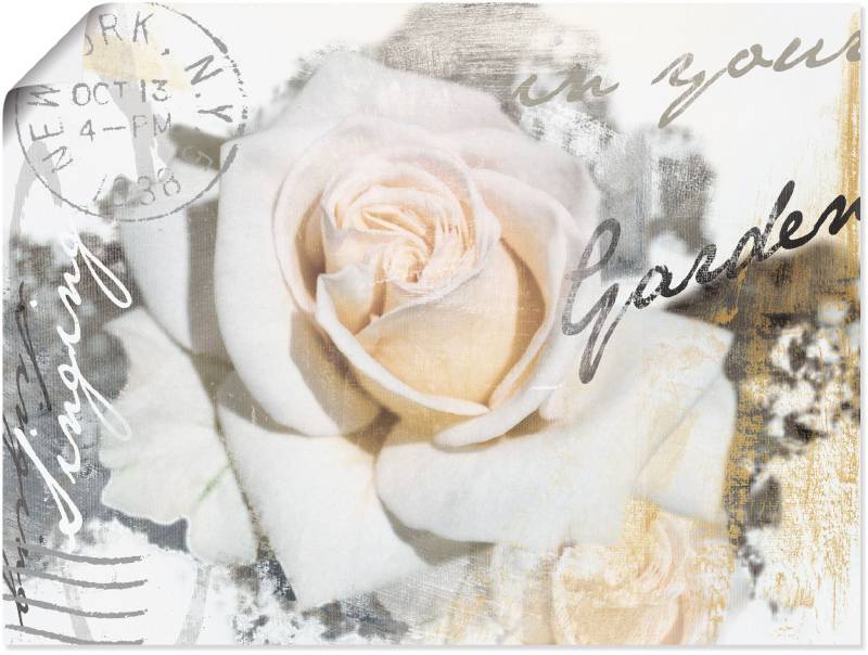Artland Wandbild »In Buchstaben - Rose«, Blumen, (1 St.), als Leinwandbild, Poster, Wandaufkleber in verschied. Grössen von Artland