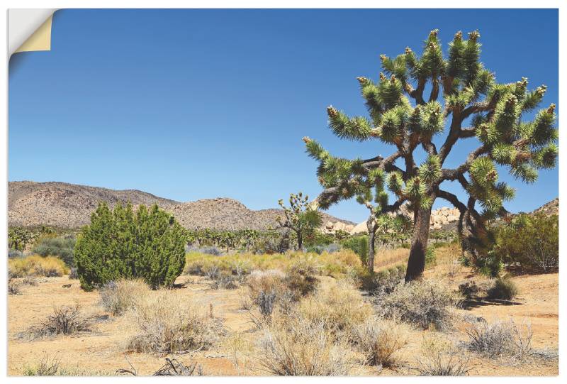 Artland Wandbild »Joshua Tree in der Mojave Wüste I«, Wüste, (1 St.), als Alubild, Leinwandbild, Wandaufkleber oder Poster in versch. Grössen von Artland