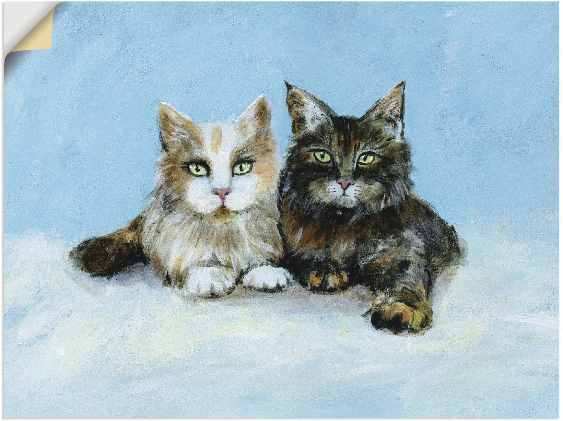 Artland Wandbild »Junge Maine-Coon Katzen«, Haustiere, (1 St.), als Wandaufkleber in verschied. Grössen von Artland